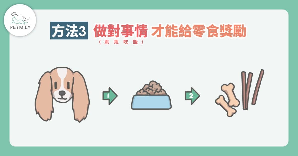 毛孩夏日食慾不振了嗎？快用4大方法讓吃飯變得有趣又美味