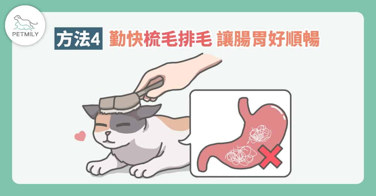 毛孩夏日食慾不振了嗎？快用4大方法讓吃飯變得有趣又美味