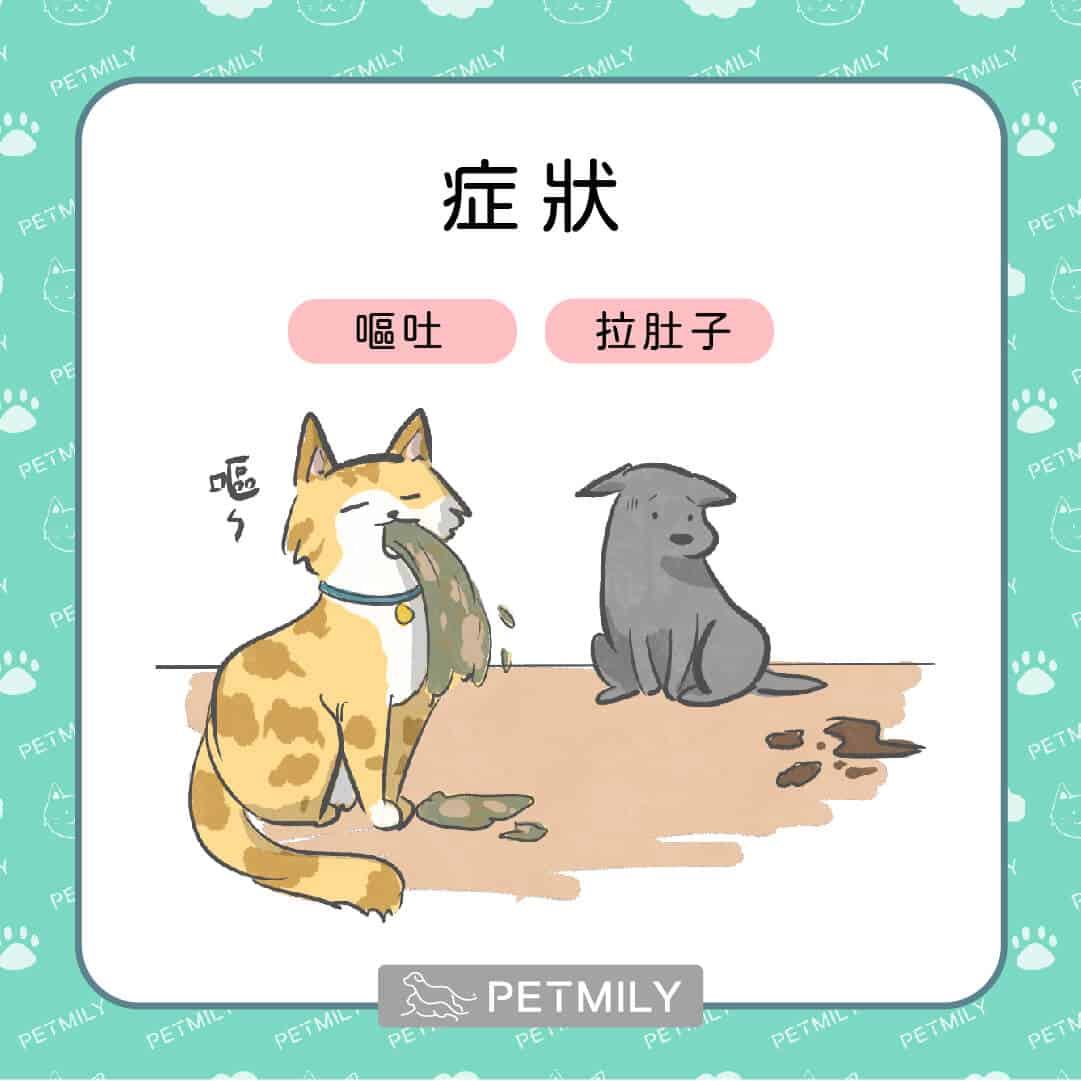 毛孩腸胃不適該怎麼辦？7個常見原因與照護建議！