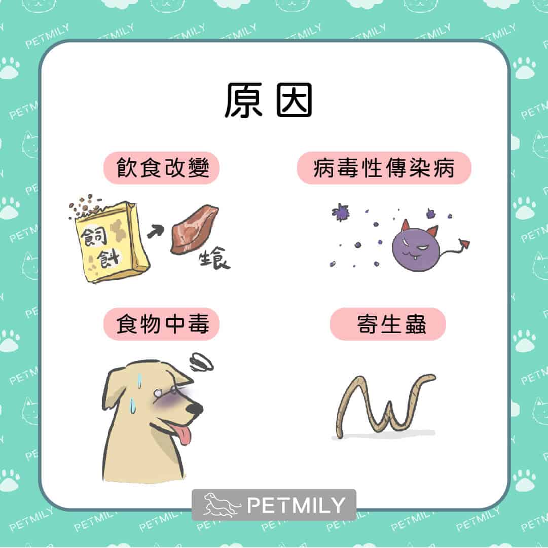 毛孩腸胃不適該怎麼辦？7個常見原因與照護建議！