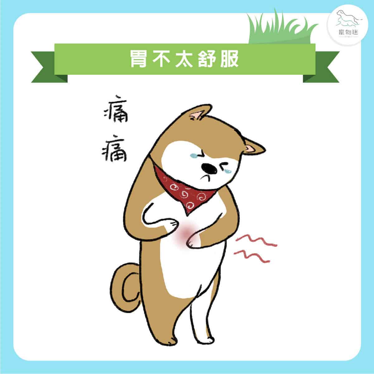 狗吃草的4大可能原因+改善方法,飼主該不該阻止? 3 狗吃草的4大可能原因+改善方法,飼主該不該阻止?