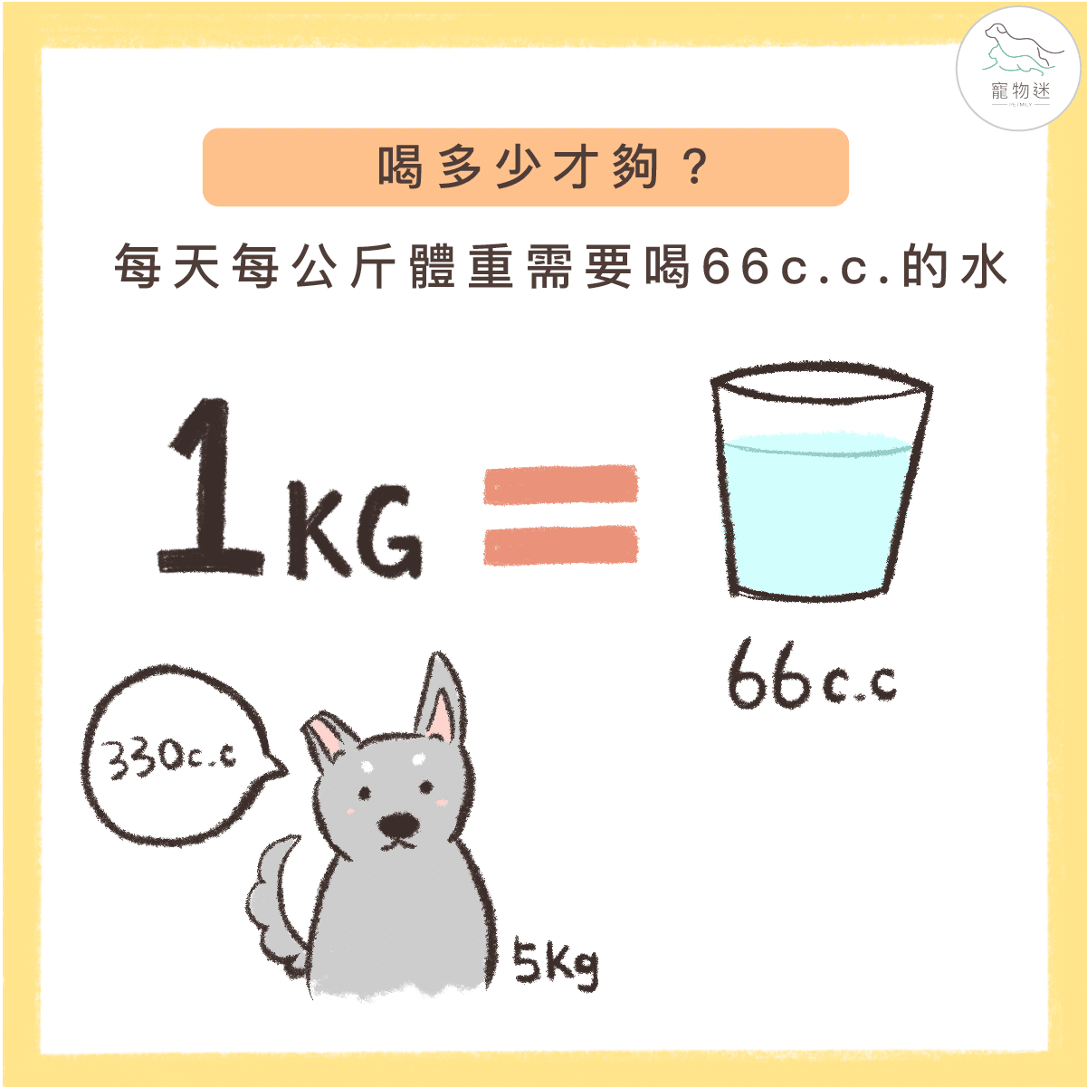 避免狗尿道炎，8招讓愛犬多喝水！
