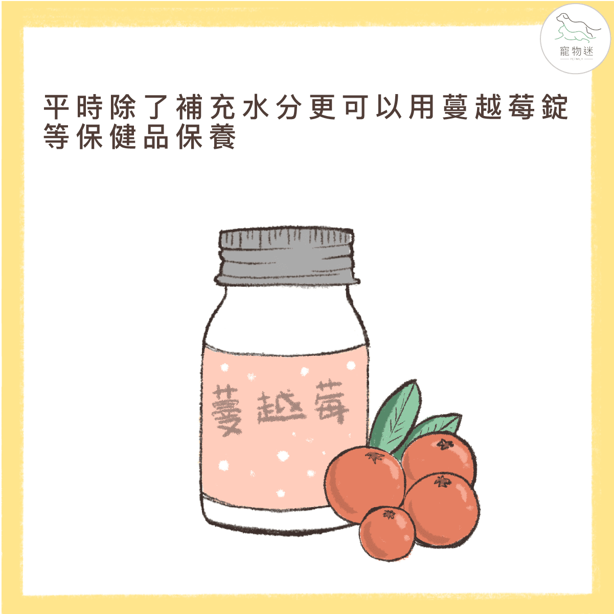 避免狗尿道炎，8招讓愛犬多喝水！