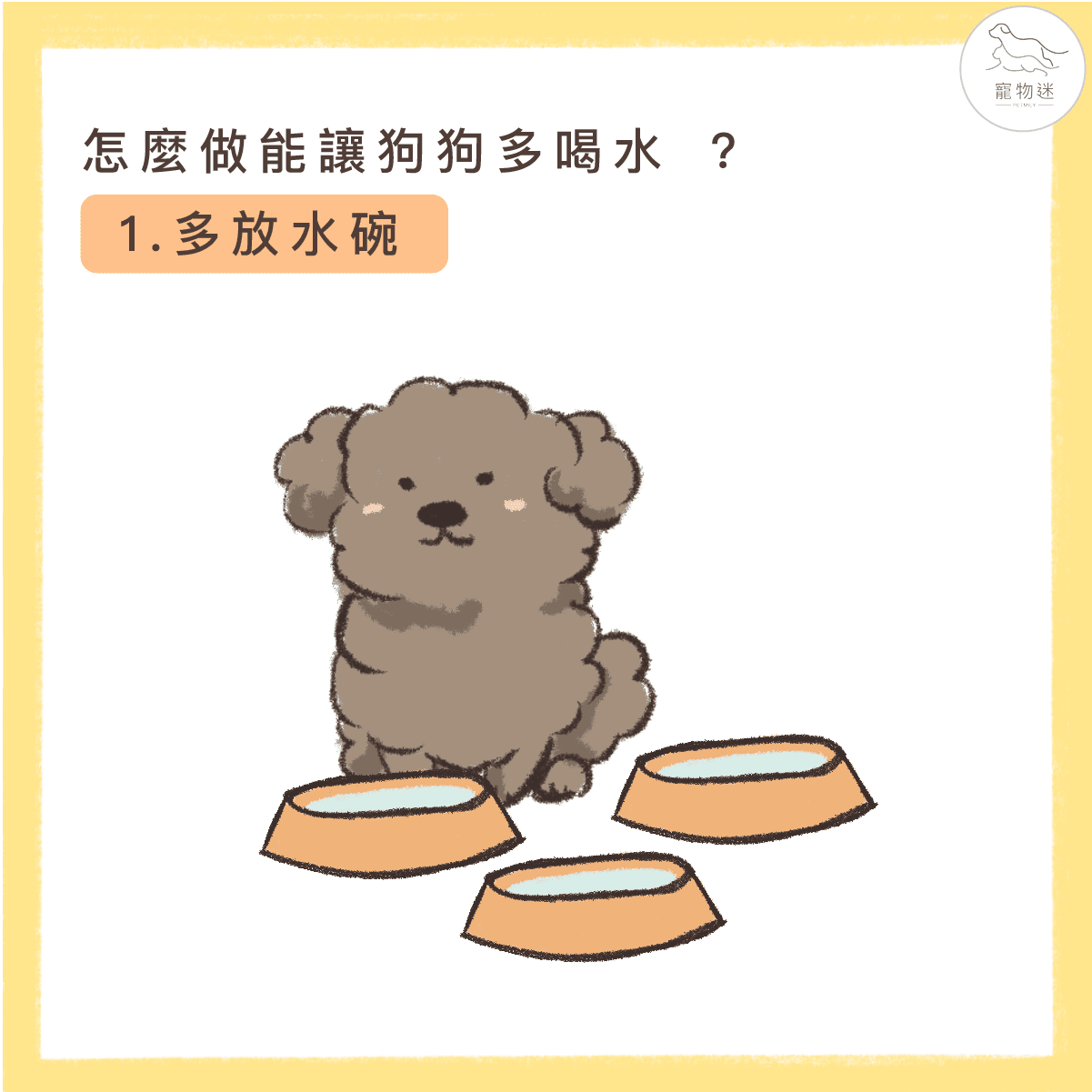 避免狗尿道炎，8招讓愛犬多喝水！