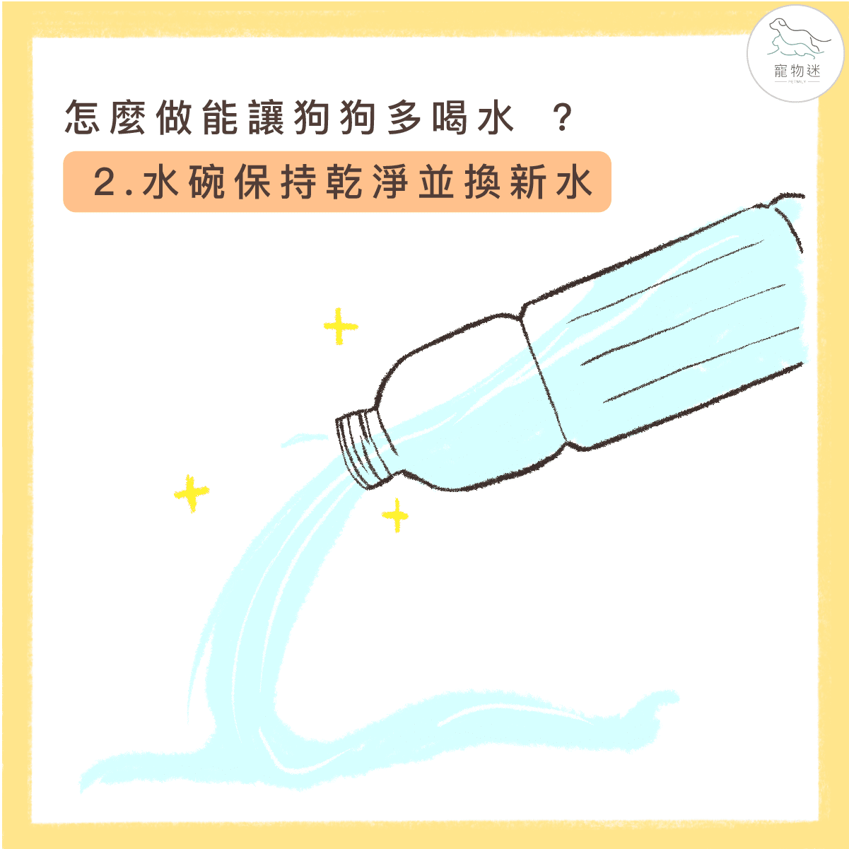 避免狗尿道炎，8招讓愛犬多喝水！