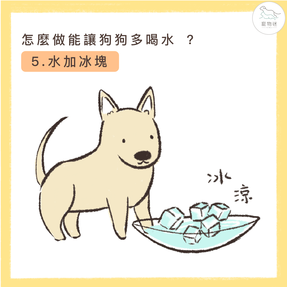 避免狗尿道炎，8招讓愛犬多喝水！