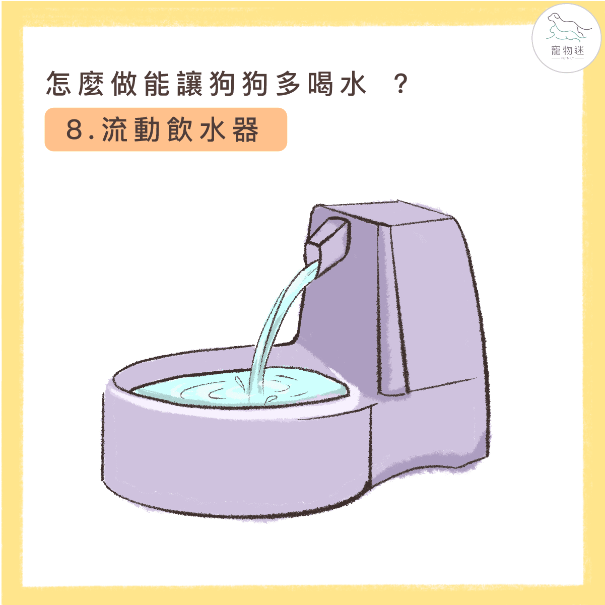 避免狗尿道炎，8招讓愛犬多喝水！