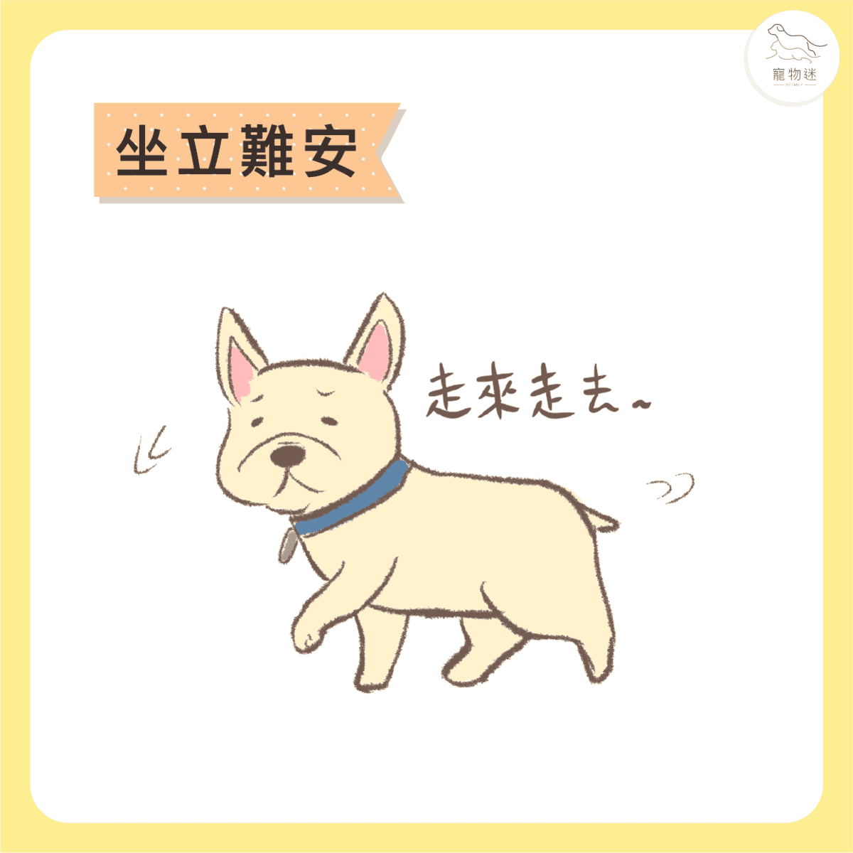 狗狗咳嗽一直沒好  原來毛孩子不是感冒