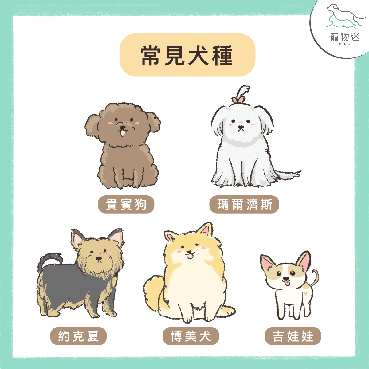 狗氣管塌陷4大常見情況與4種症狀，飼主該如何照顧？