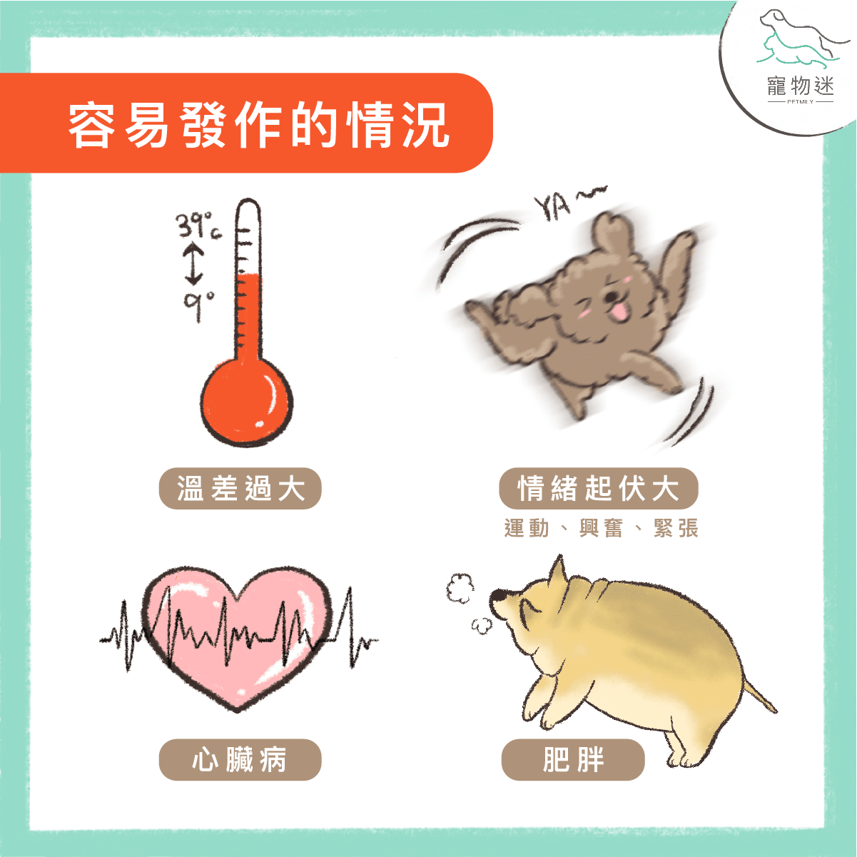 狗氣管塌陷4大常見情況與4種症狀，飼主該如何照顧？