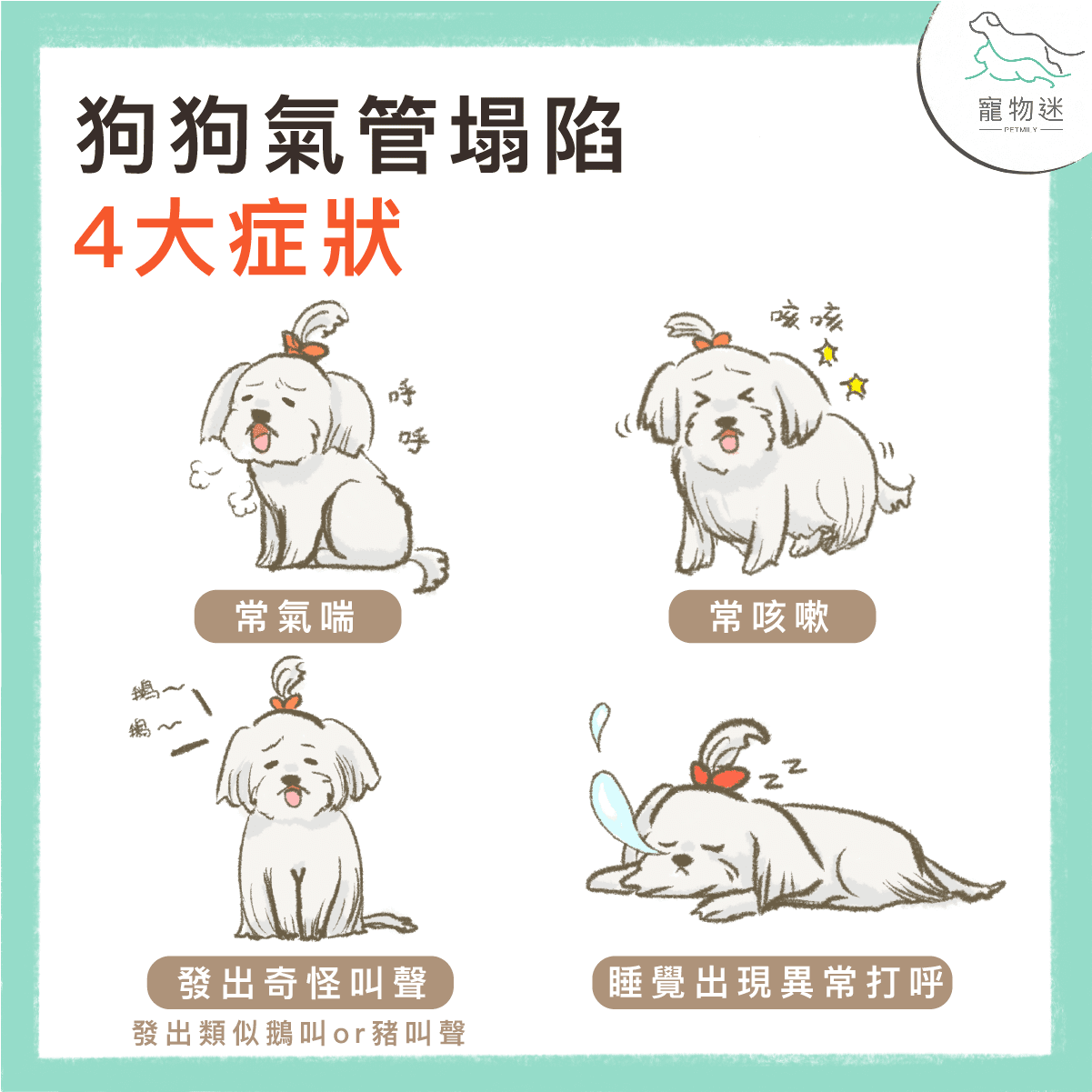 狗氣管塌陷4大常見情況與4種症狀，飼主該如何照顧？