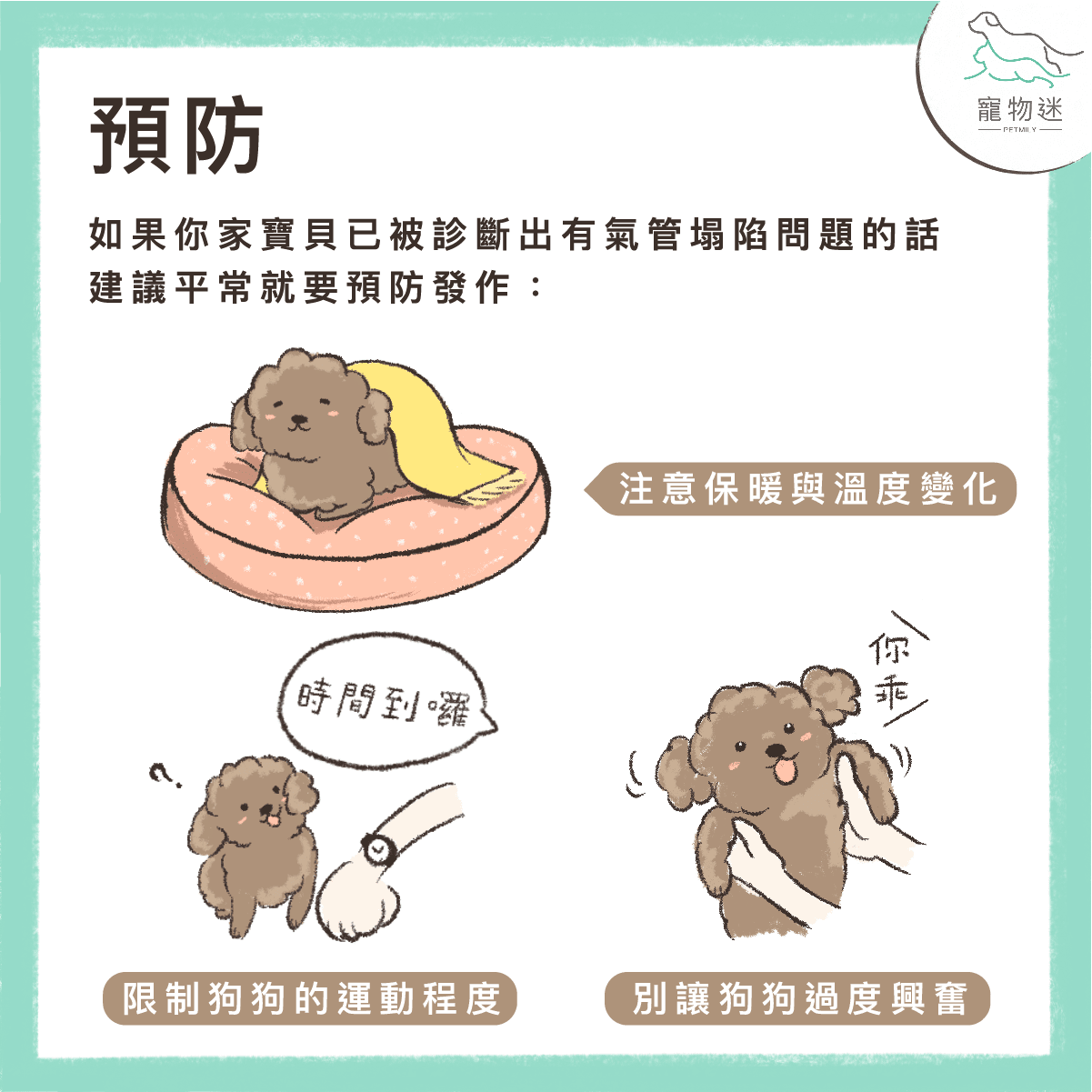 狗氣管塌陷4大常見情況與4種症狀，飼主該如何照顧？