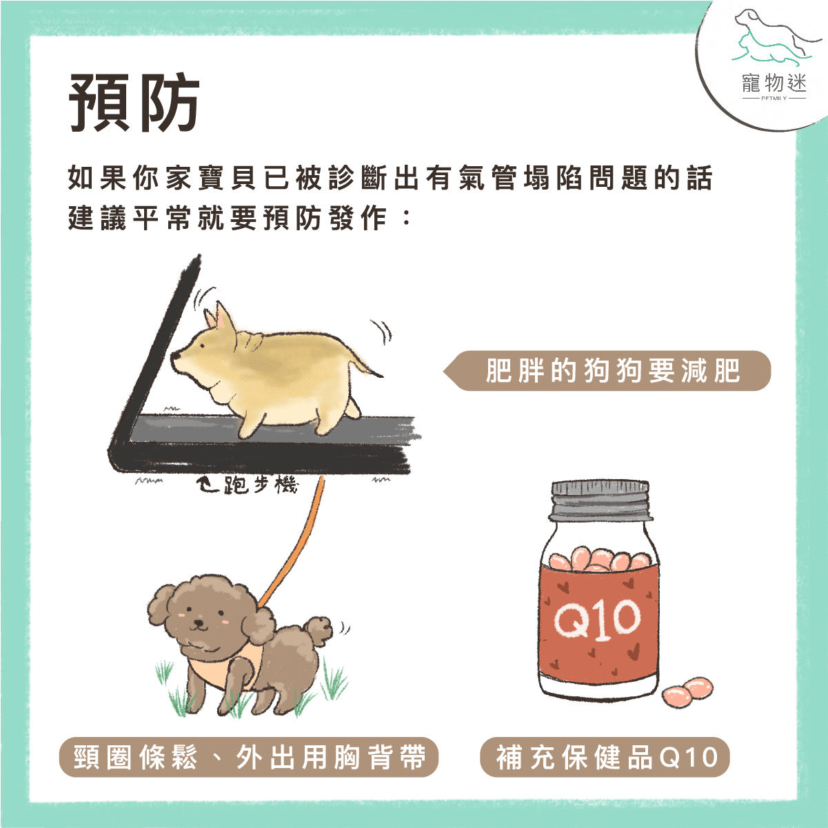 狗氣管塌陷4大常見情況與4種症狀，飼主該如何照顧？