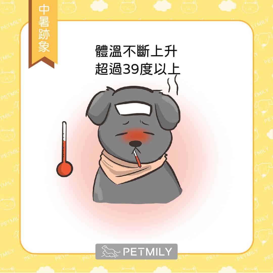 狗爸媽注意觀察，毛孩中暑的6大跡象
