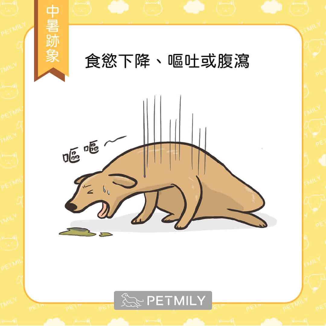 狗爸媽注意觀察，毛孩中暑的6大跡象