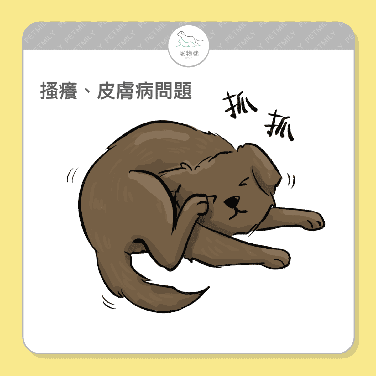 狗狗夏天皮膚癢怎麼辦？3大常見原因＋日常護理建議一次看！
