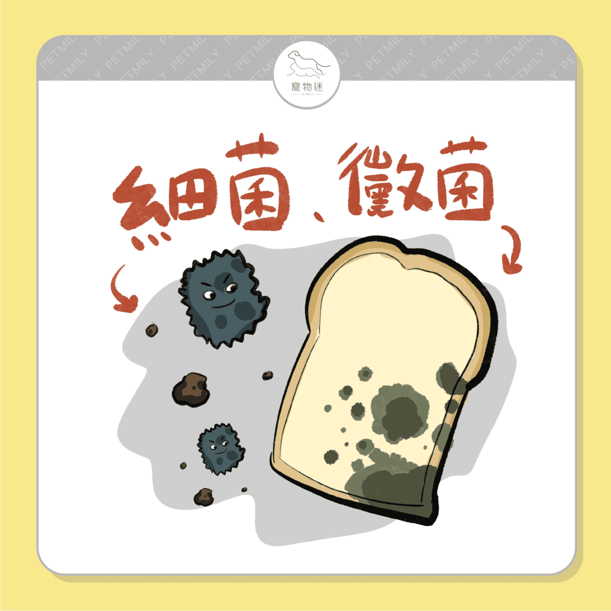 狗狗夏天皮膚癢怎麼辦？3大常見原因＋日常護理建議一次看！