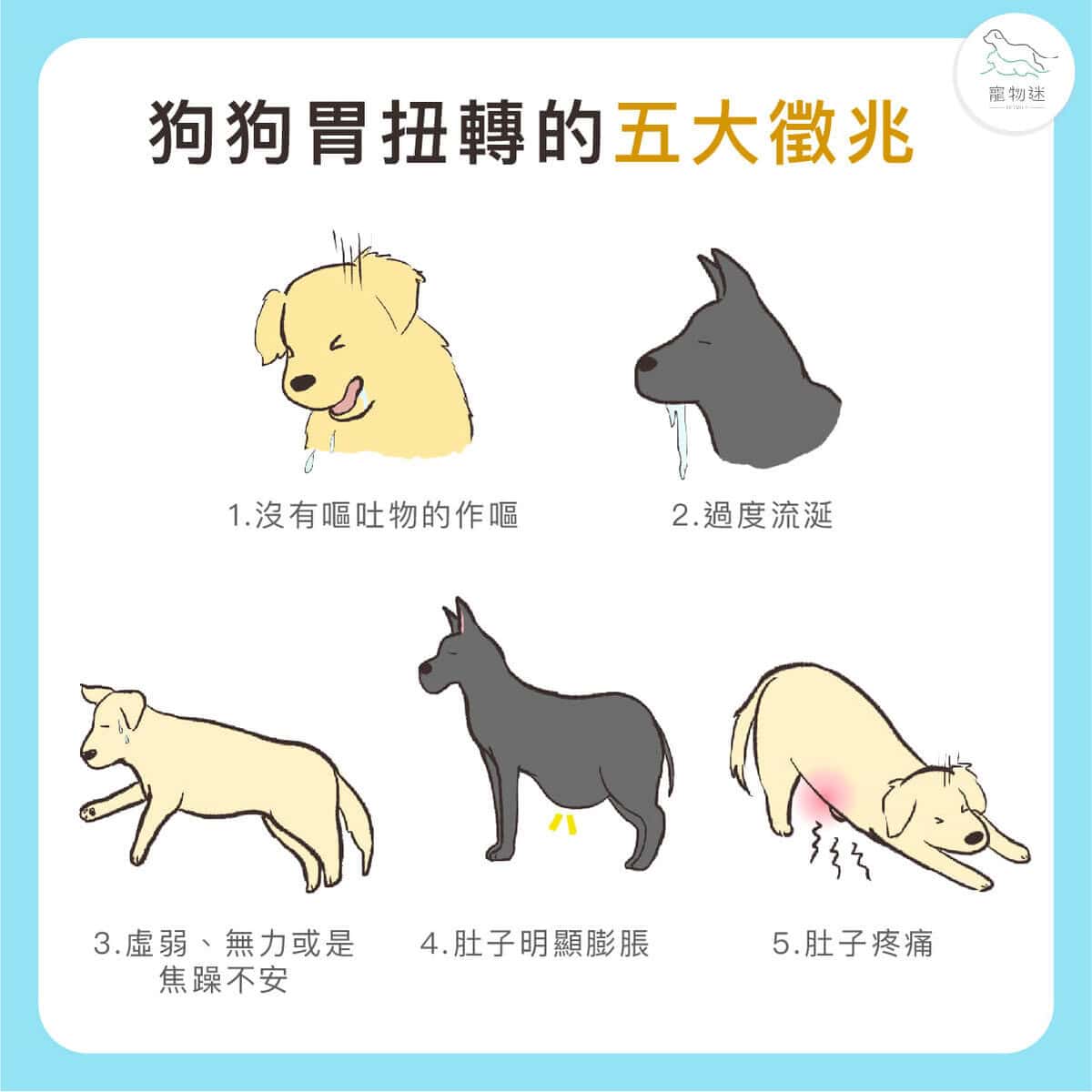 大型犬高風險！狗胃扭轉(GDV)5大症狀與預防重點一次看懂！
