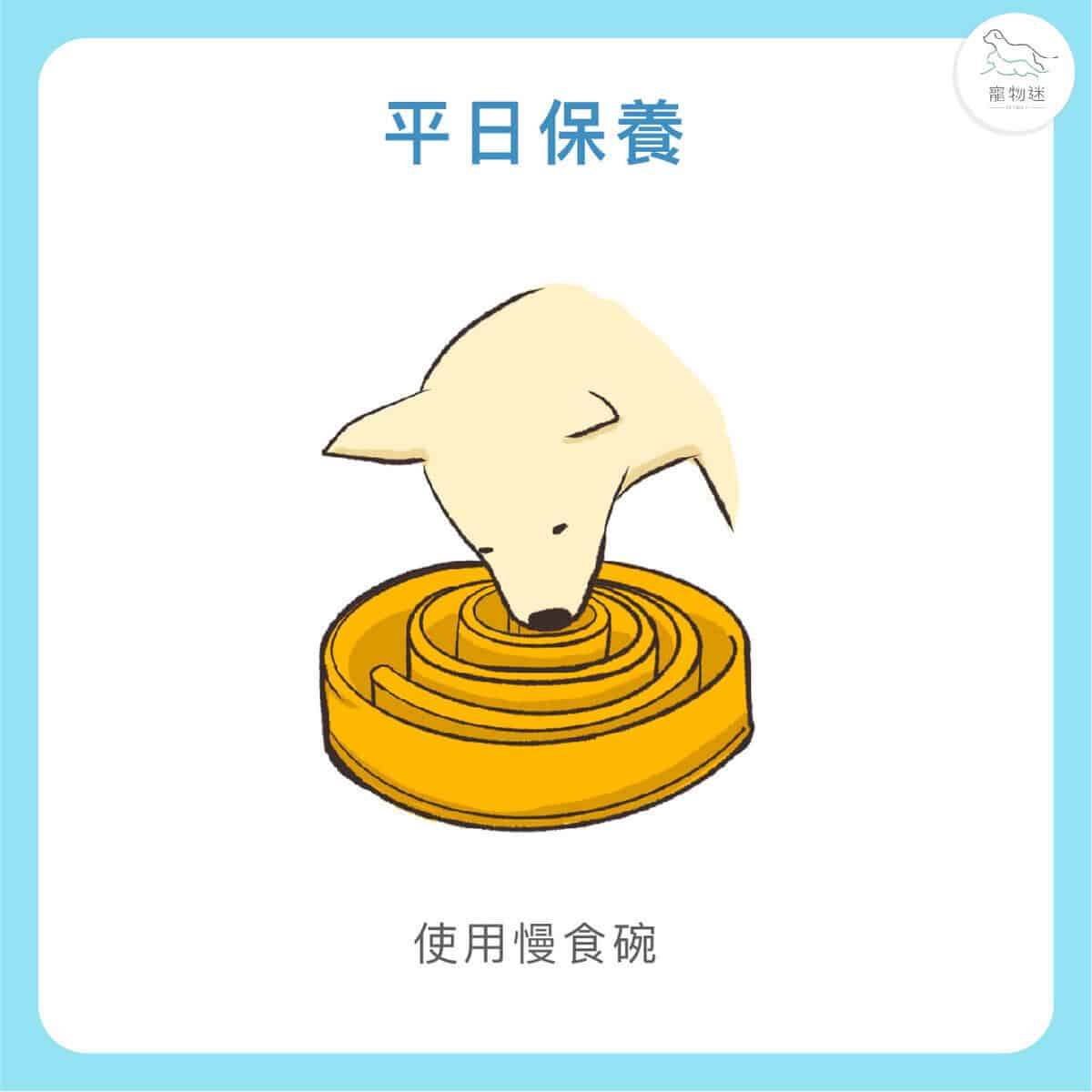 大型犬高風險！狗胃扭轉(GDV)5大症狀與預防重點一次看懂！
