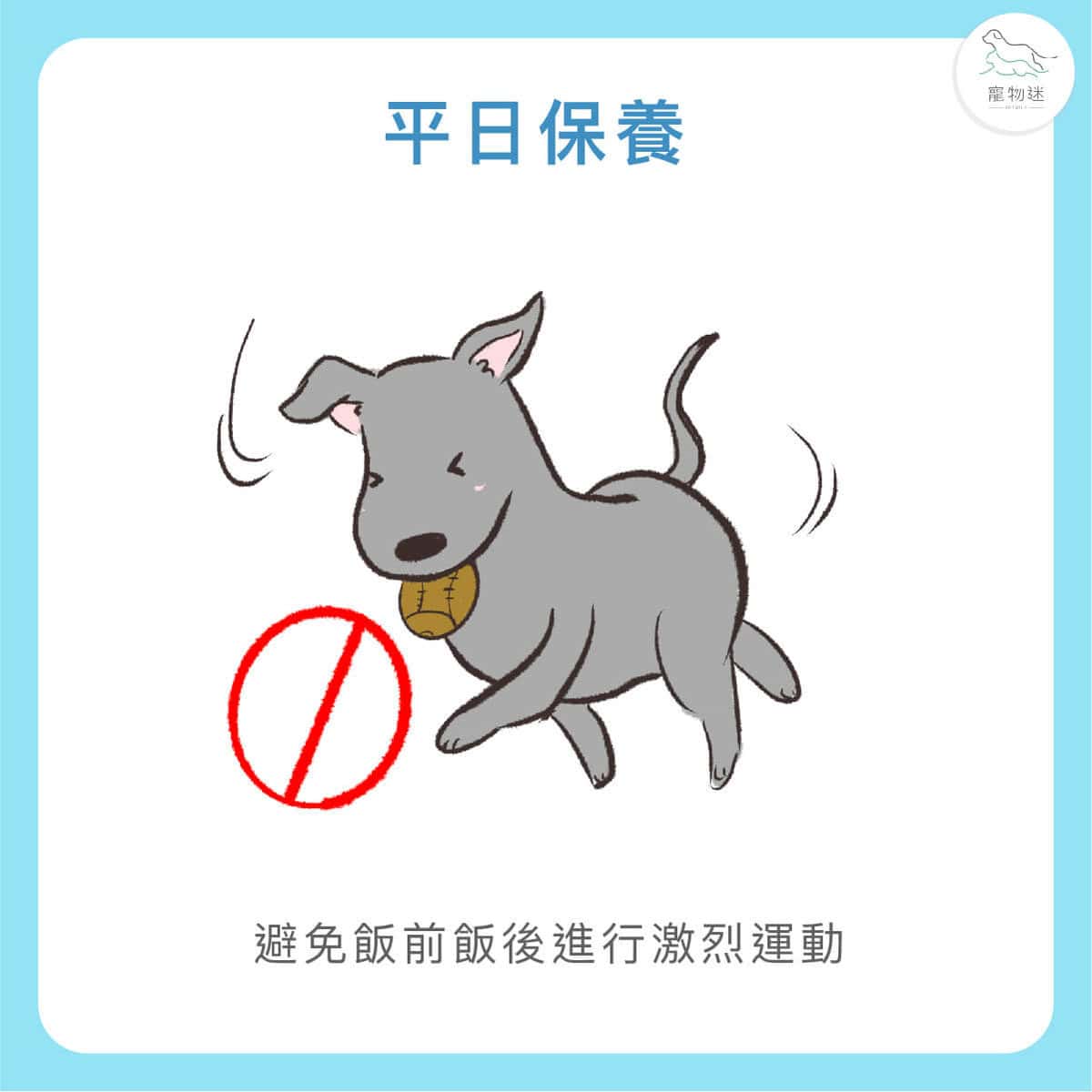 大型犬高風險！狗胃扭轉(GDV)5大症狀與預防重點一次看懂！