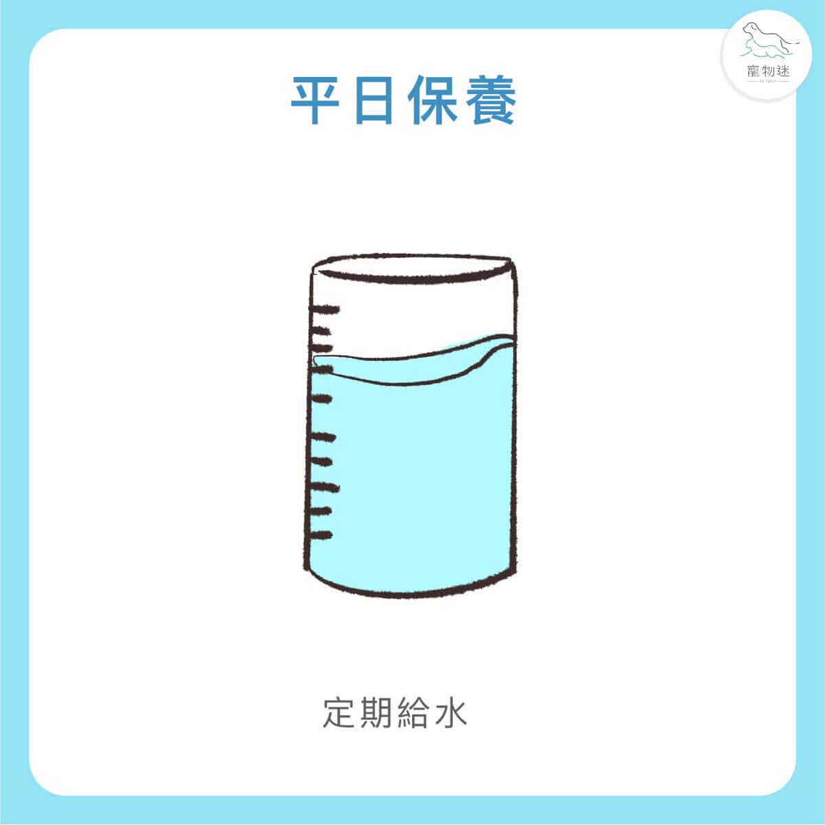 大型犬高風險！狗胃扭轉(GDV)5大症狀與預防重點一次看懂！