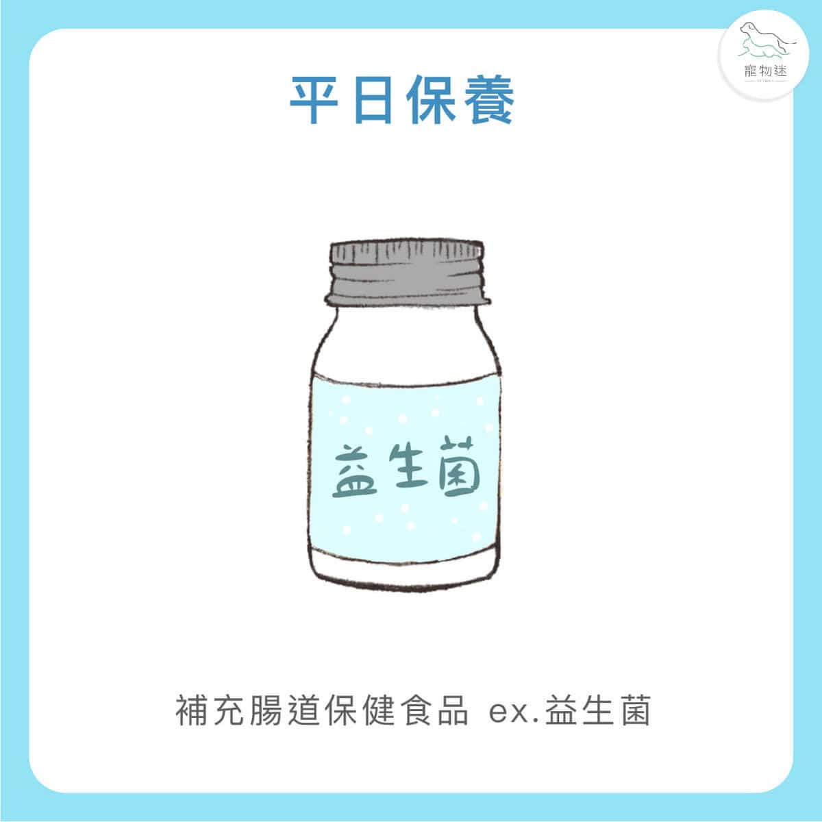 大型犬高風險！狗胃扭轉(GDV)5大症狀與預防重點一次看懂！