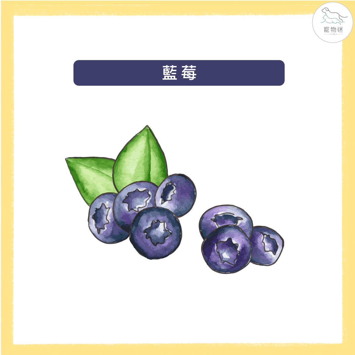 預防狗狗白內障、青光眼等眼疾問題，九種食物打造狗狗明亮雙眼