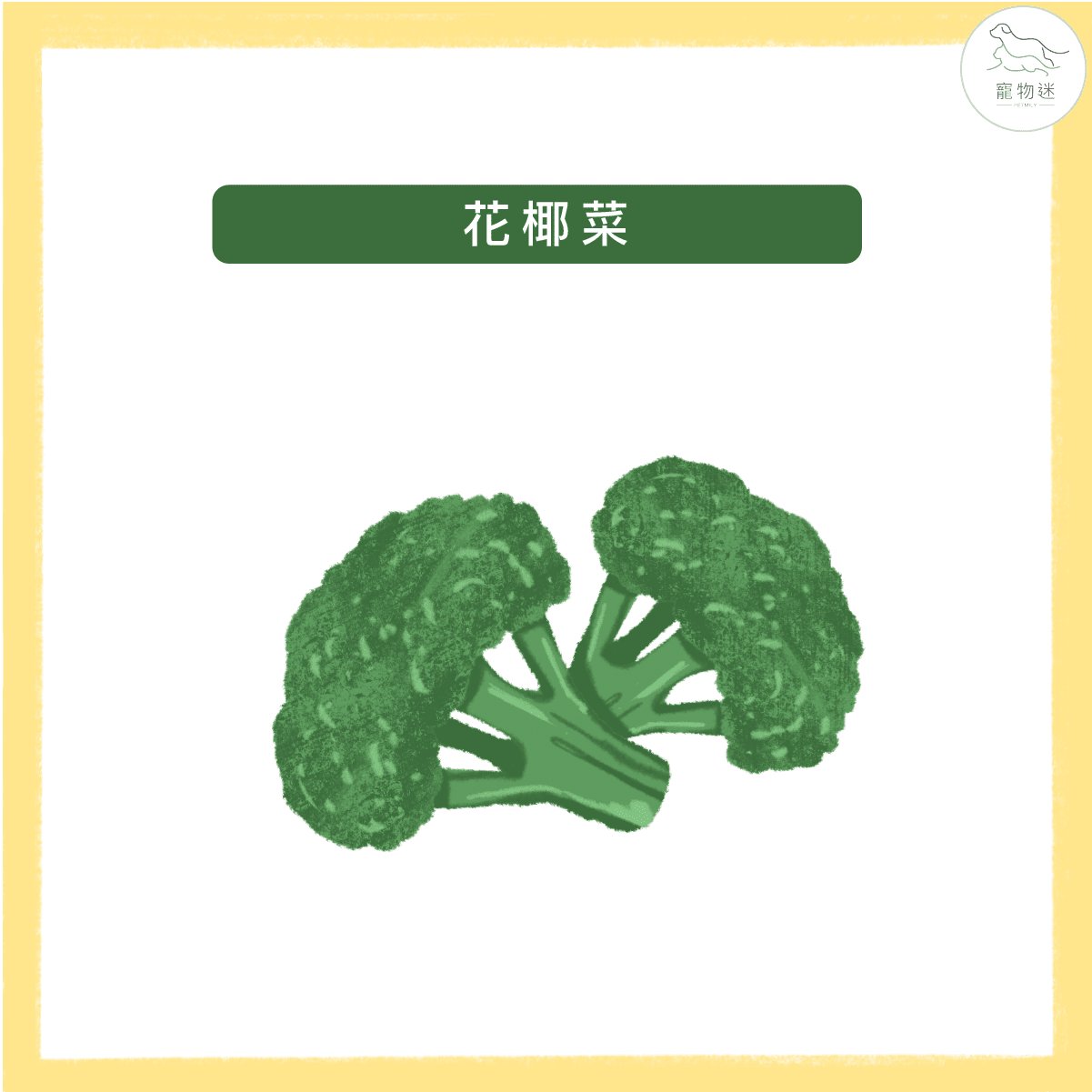 預防狗狗白內障、青光眼等眼疾問題，九種食物打造狗狗明亮雙眼