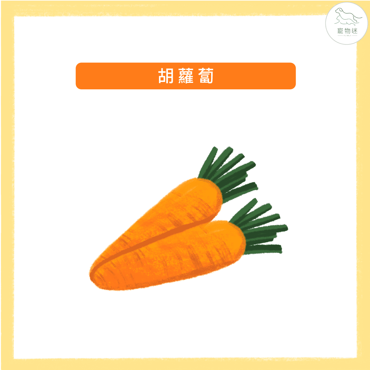 預防狗狗白內障、青光眼等眼疾問題，九種食物打造狗狗明亮雙眼