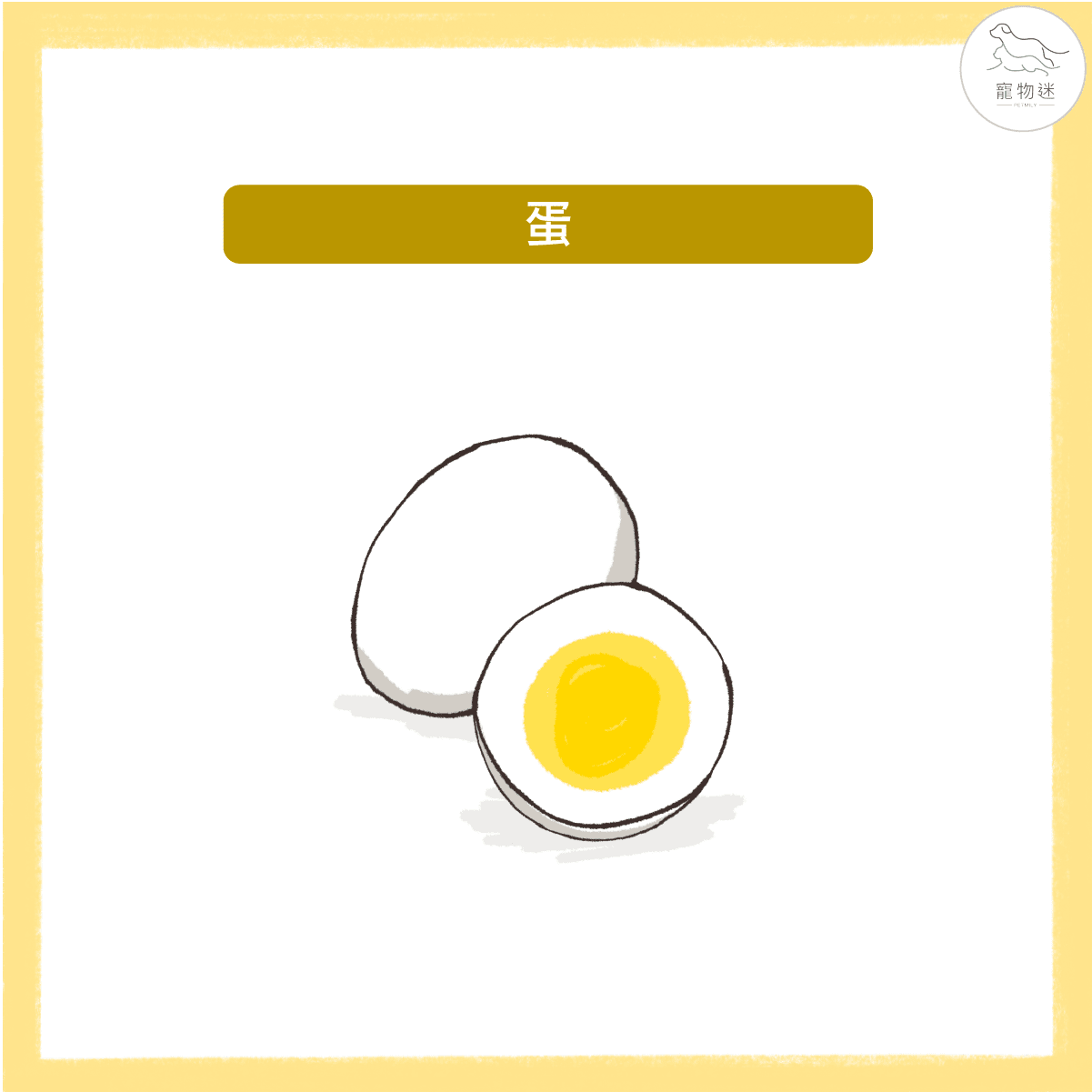 預防狗狗白內障、青光眼等眼疾問題，九種食物打造狗狗明亮雙眼