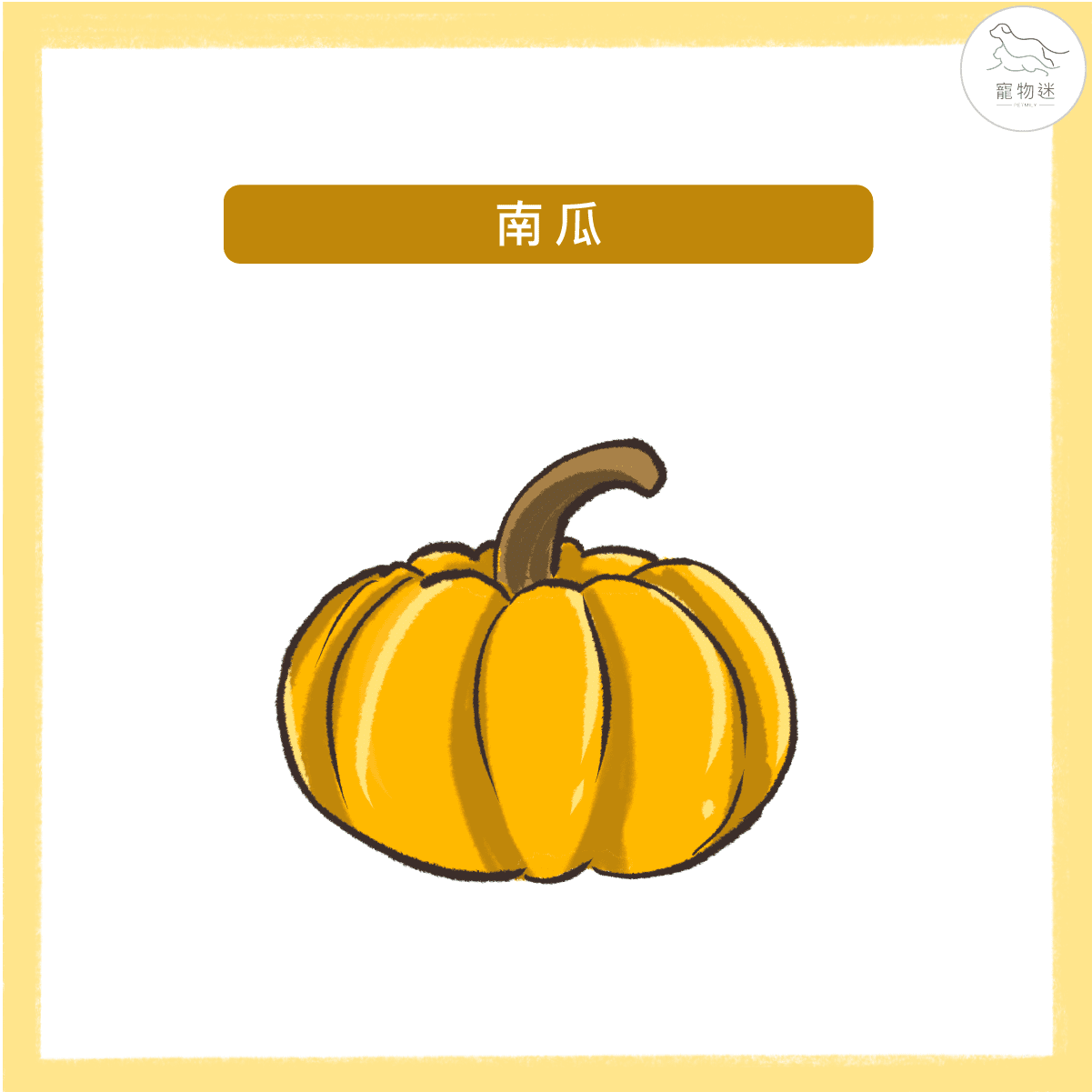 預防狗狗白內障、青光眼等眼疾問題，九種食物打造狗狗明亮雙眼