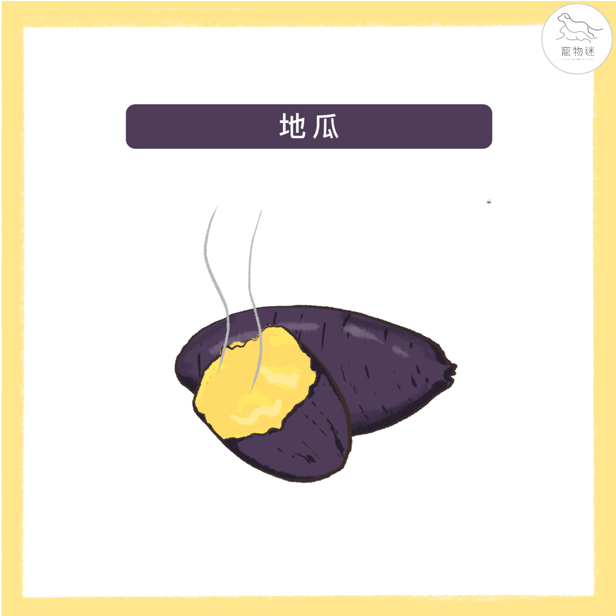 預防狗狗白內障、青光眼等眼疾問題，九種食物打造狗狗明亮雙眼