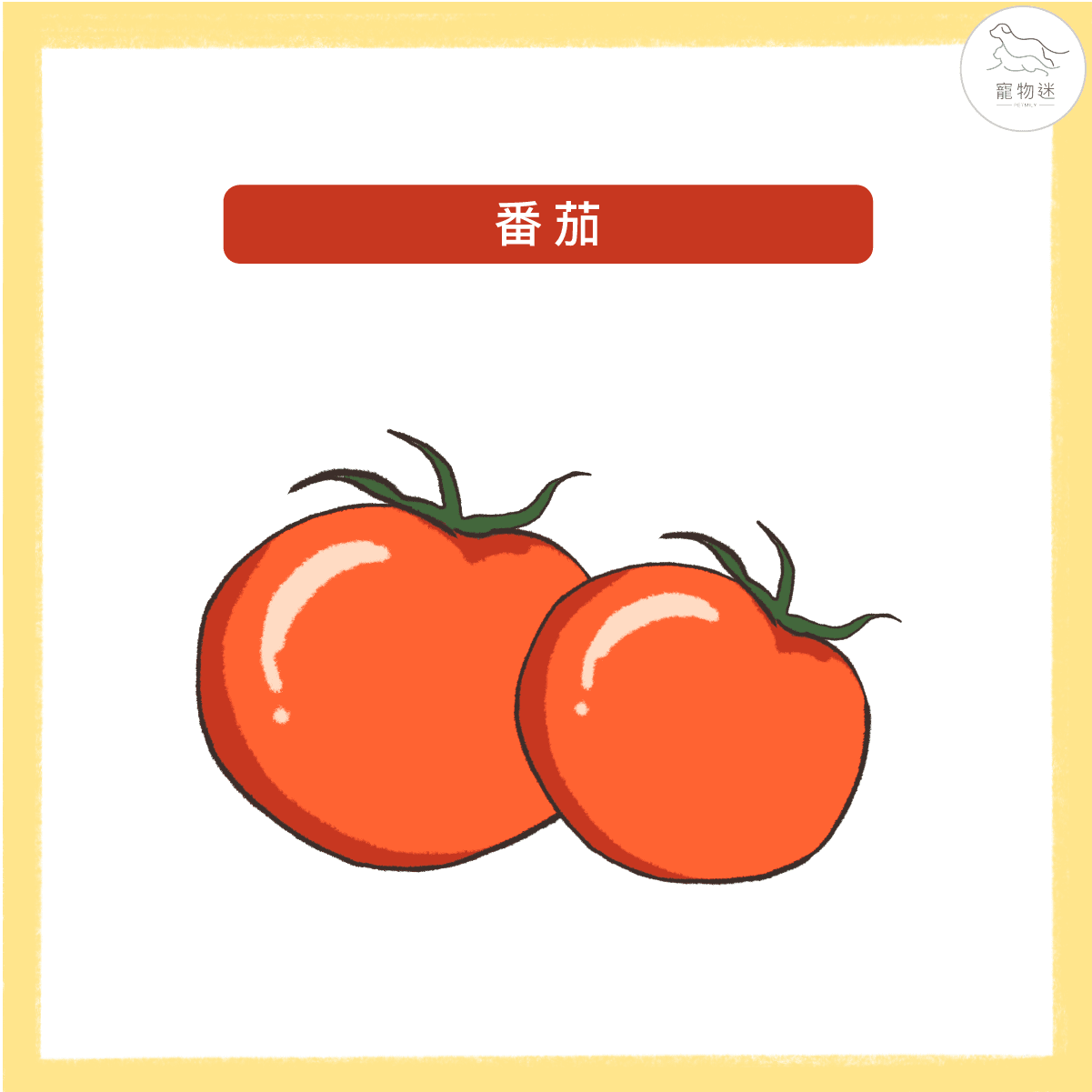 預防狗狗白內障、青光眼等眼疾問題，九種食物打造狗狗明亮雙眼