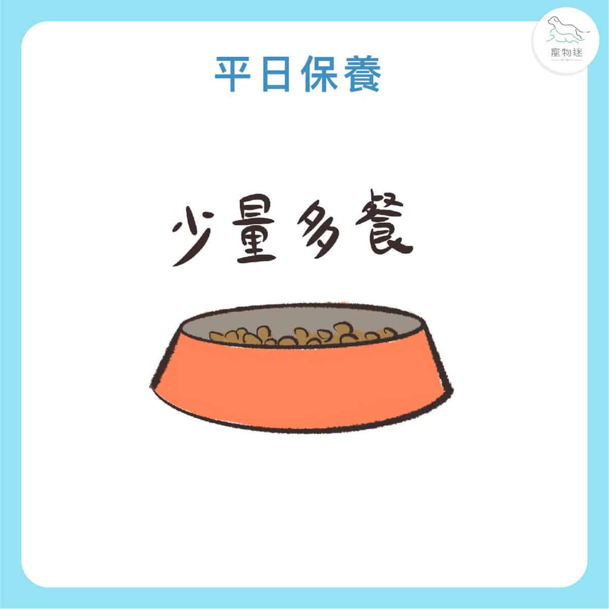 大型犬高風險！狗胃扭轉(GDV)5大症狀與預防重點一次看懂！