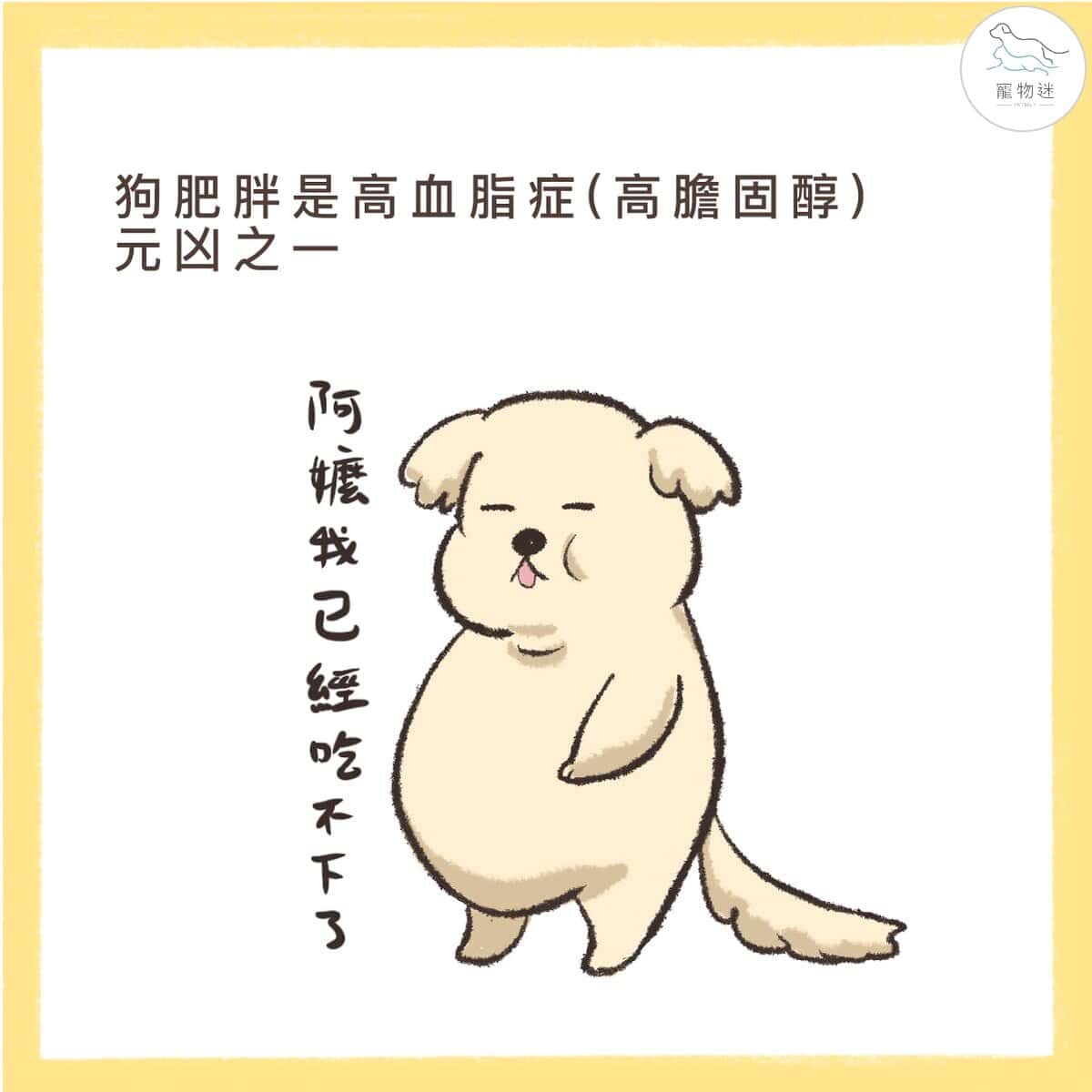 狗狗高膽固醇怎麼辦？掌握高脂血症的4大原因與4種保養方式！