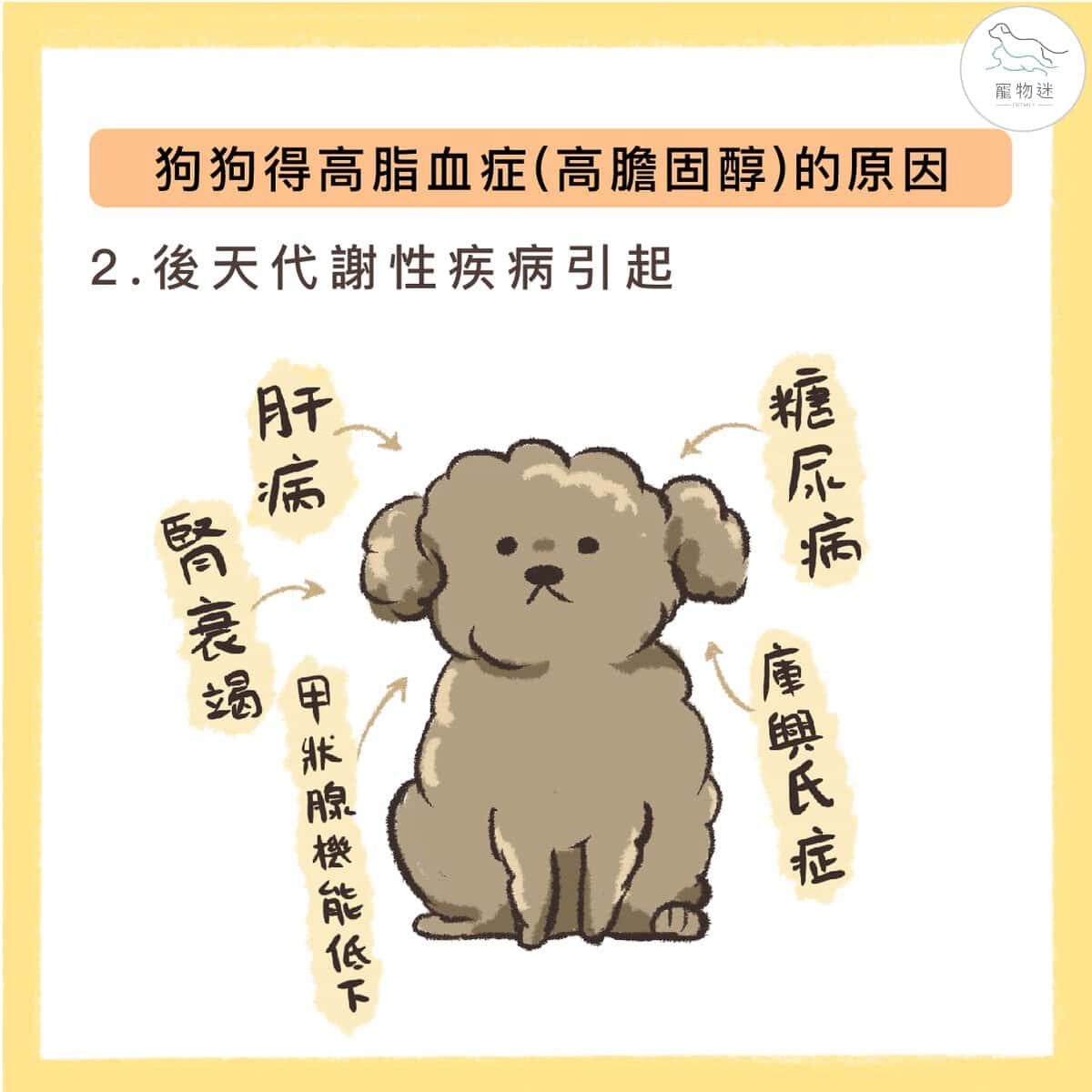狗狗高膽固醇怎麼辦？掌握高脂血症的4大原因與4種保養方式！