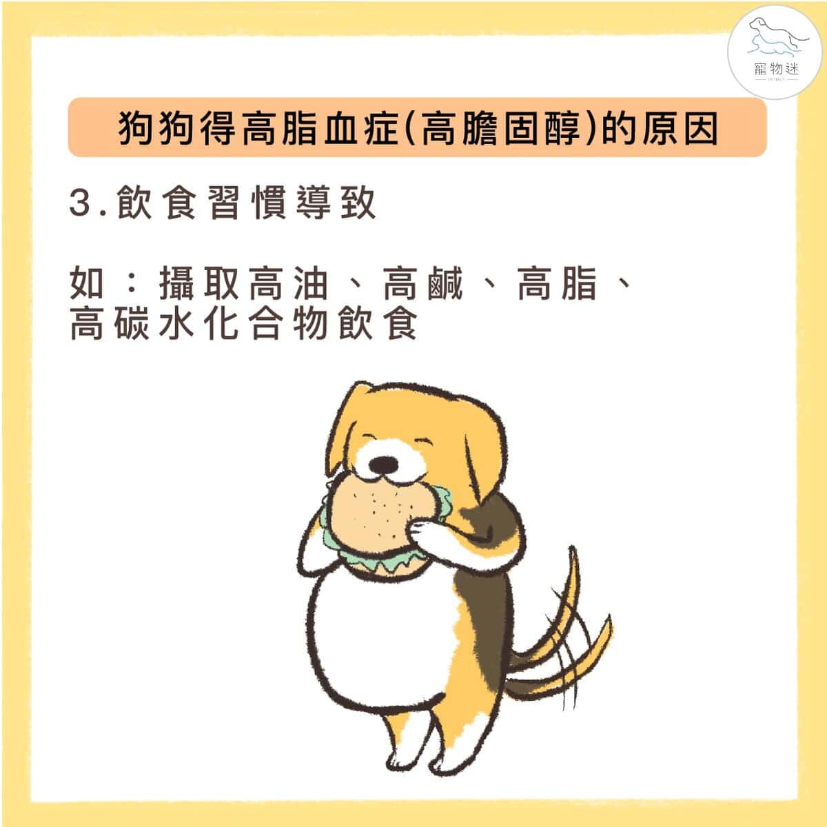 狗狗高膽固醇怎麼辦？掌握高脂血症的4大原因與4種保養方式！