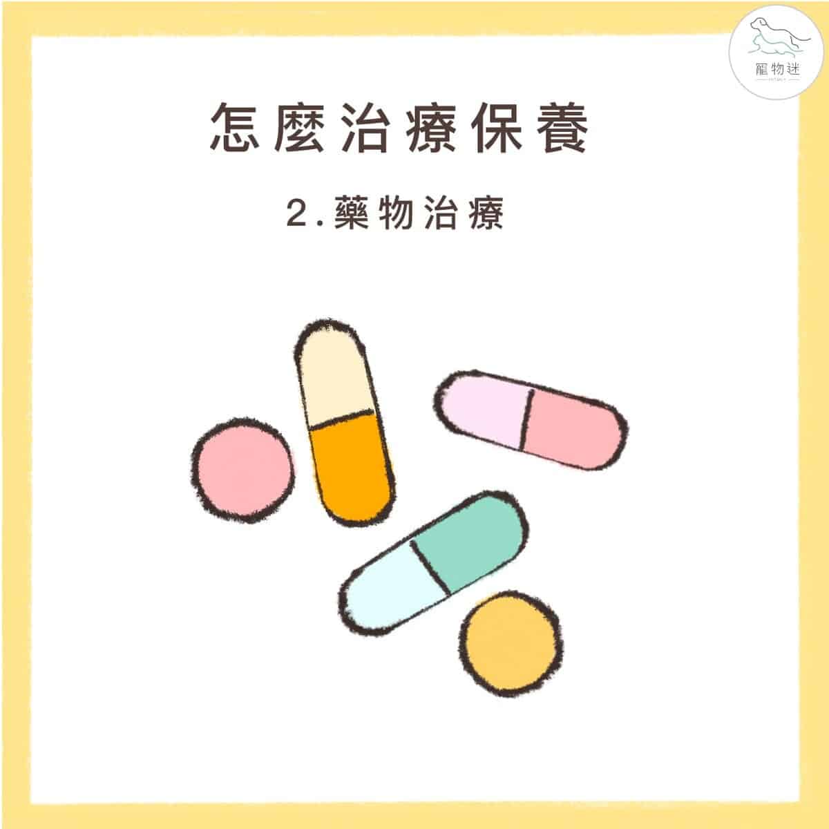 狗狗高膽固醇怎麼辦？掌握高脂血症的4大原因與4種保養方式！