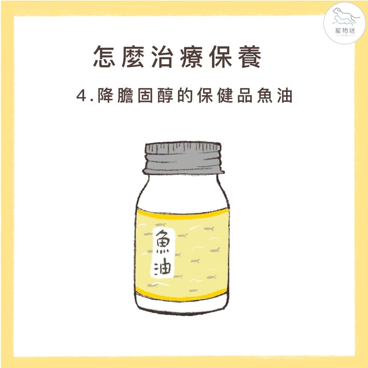 狗狗高膽固醇怎麼辦？掌握高脂血症的4大原因與4種保養方式！