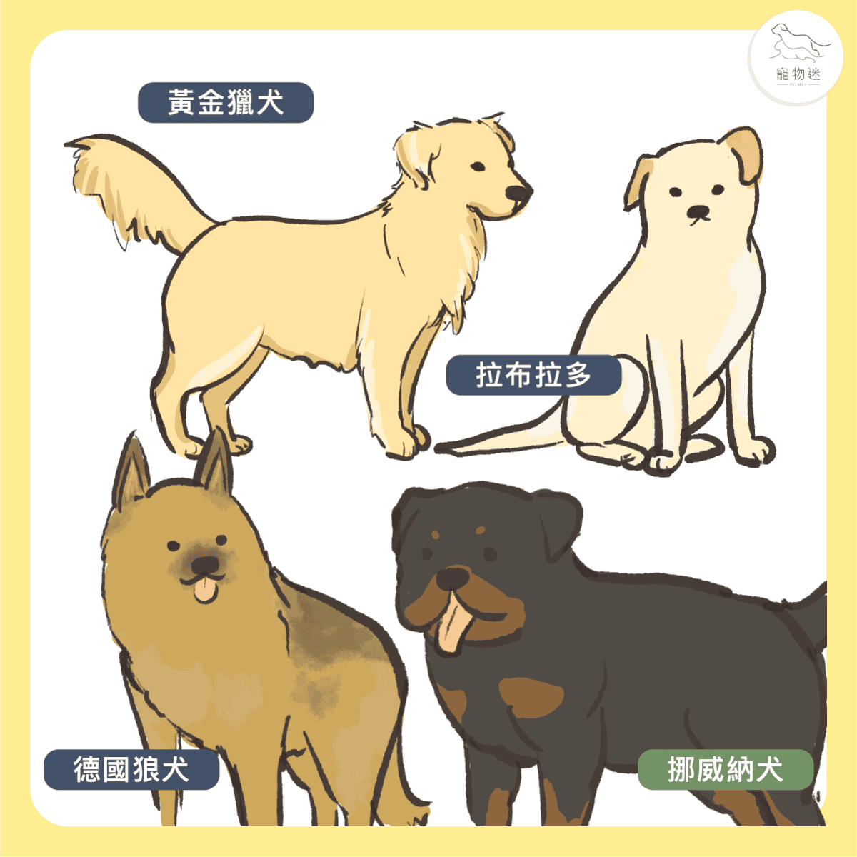 大型犬常見關節問題：狗狗髖關節發育不良的5大重點照護方式！