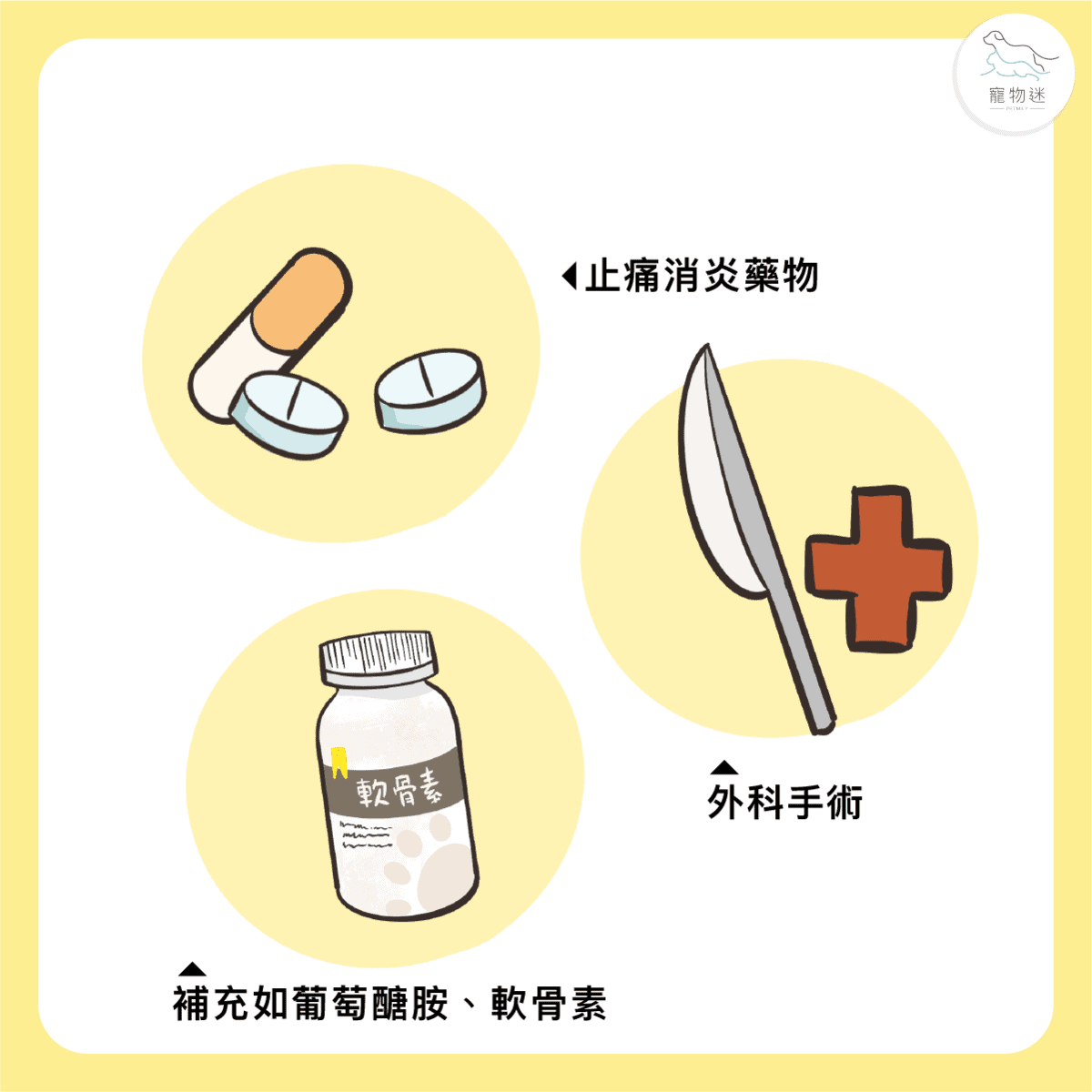 大型犬常見關節問題：狗狗髖關節發育不良的5大重點照護方式！