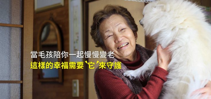 銀髮族養寵物必看！住院怎麼辦？一篇看懂寵物險寄宿補貼5大服務！