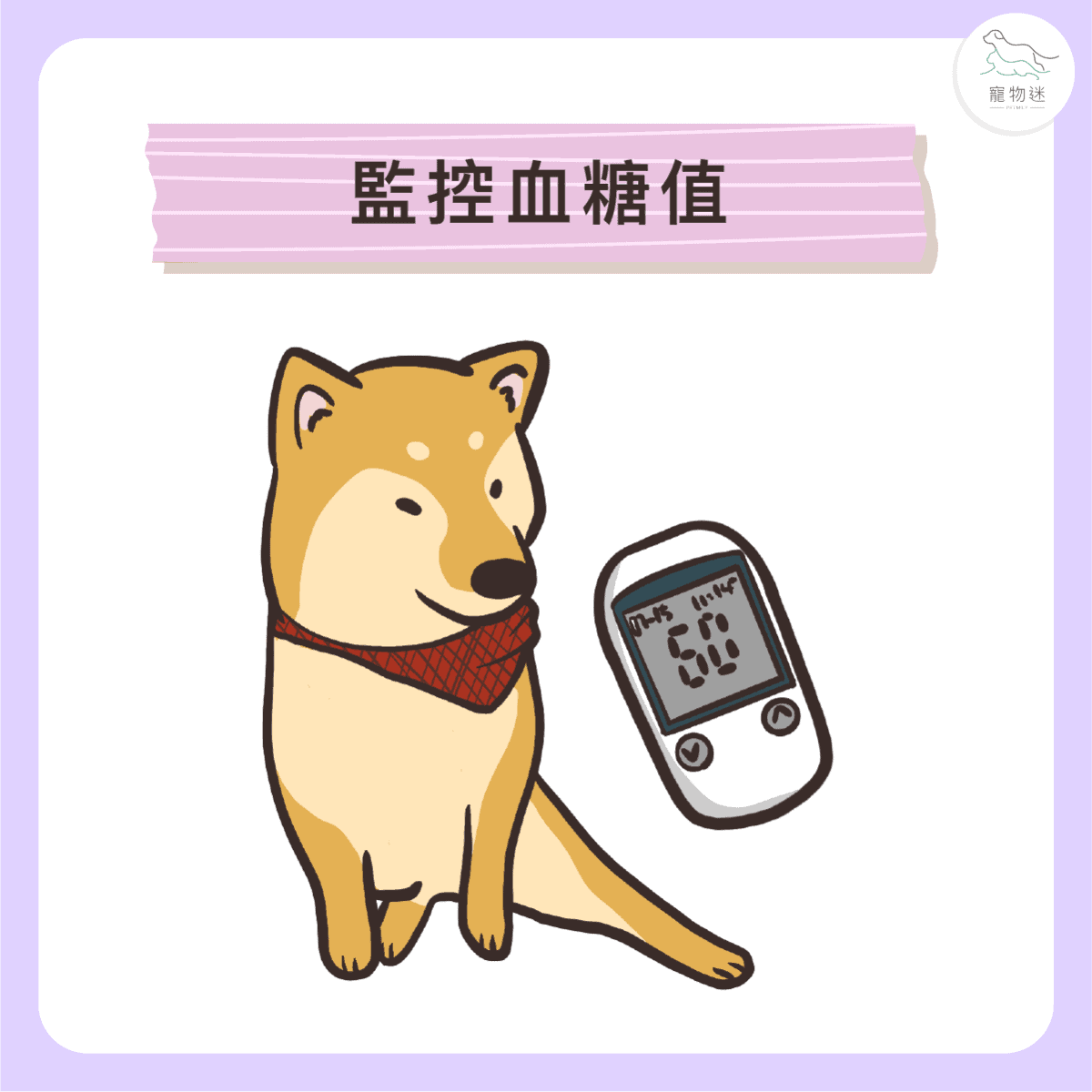 貓狗糖尿病控制5大關鍵！毛孩也能健康穩定生活！