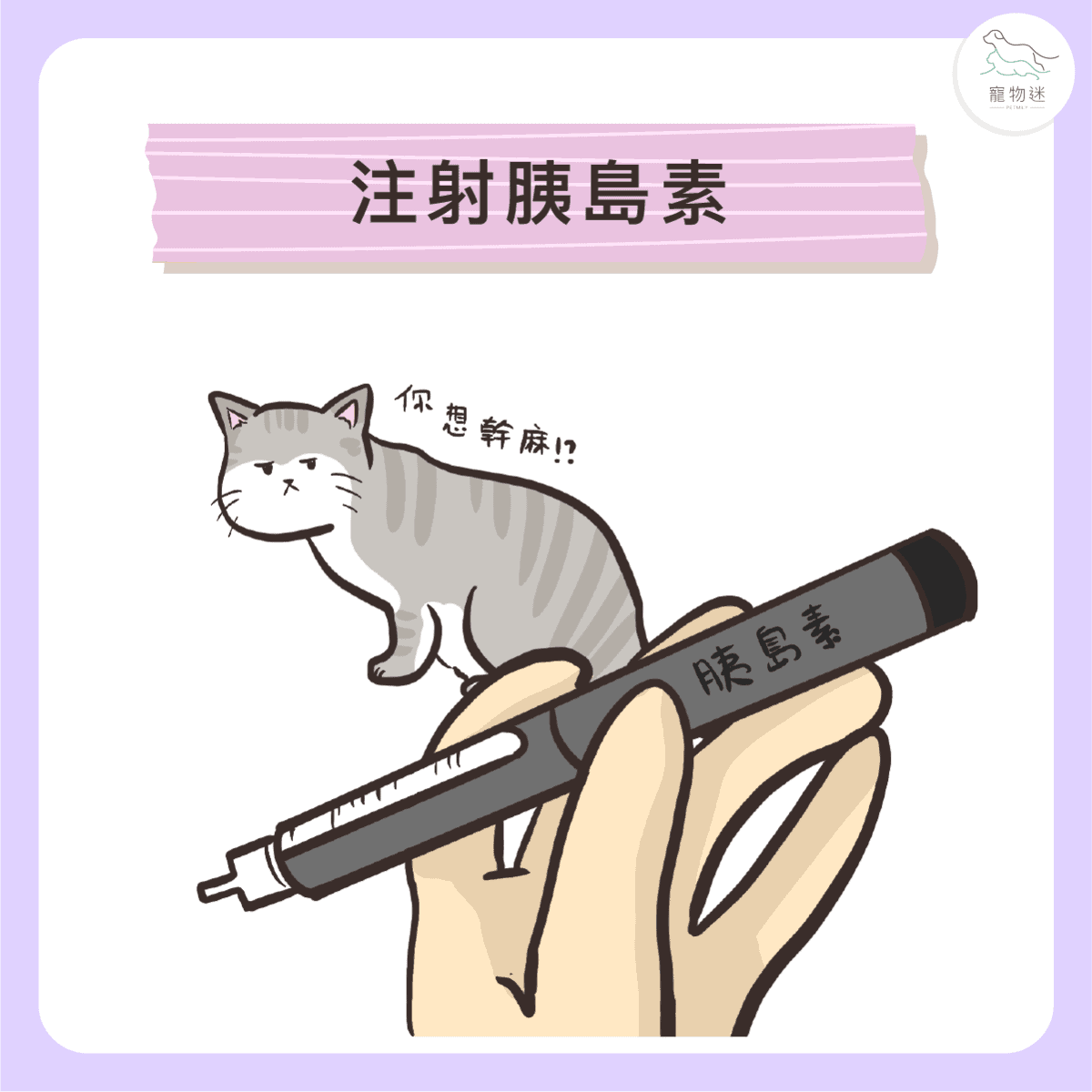 貓狗糖尿病控制5大關鍵！毛孩也能健康穩定生活！