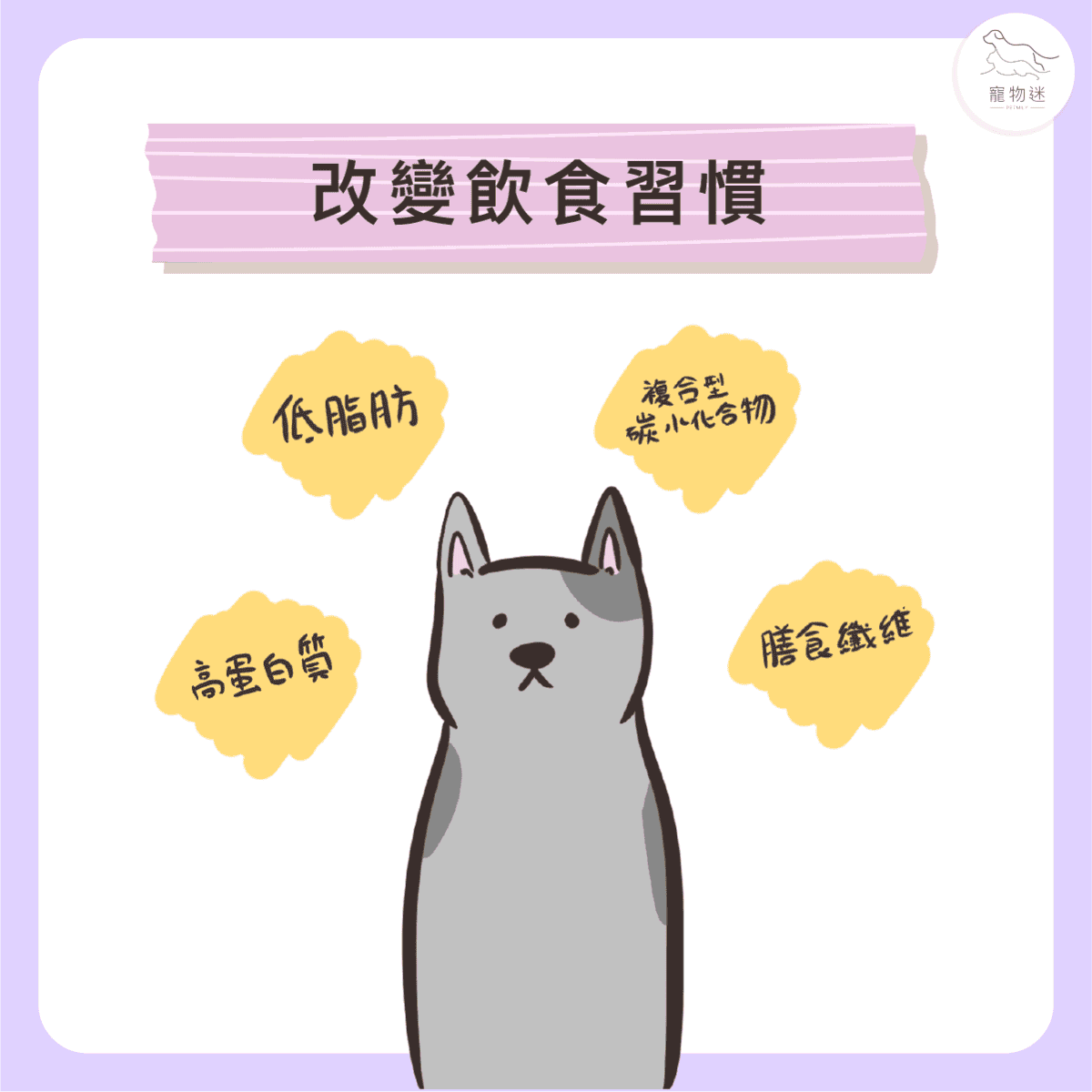 貓狗糖尿病控制5大關鍵！毛孩也能健康穩定生活！