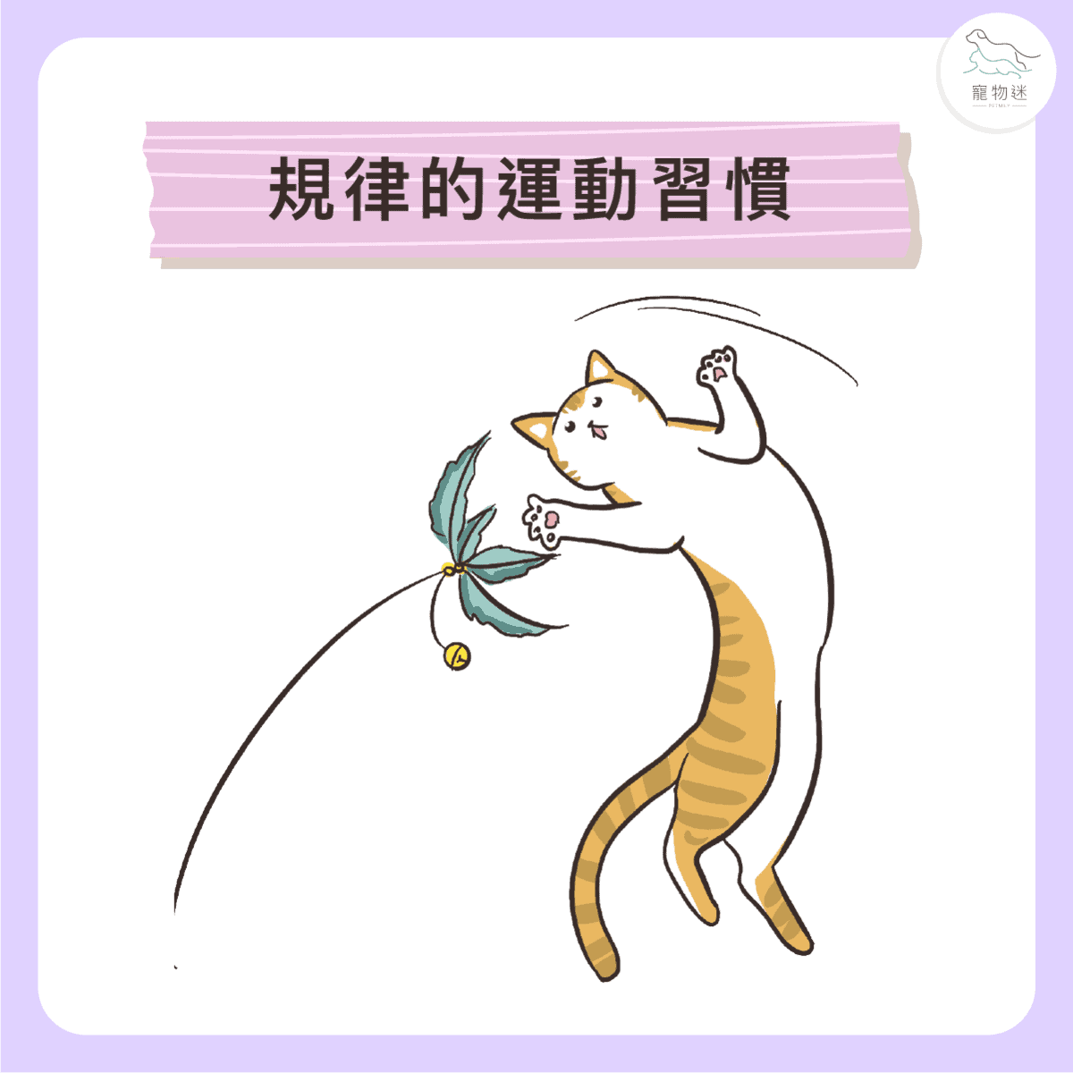貓狗糖尿病控制5大關鍵！毛孩也能健康穩定生活！