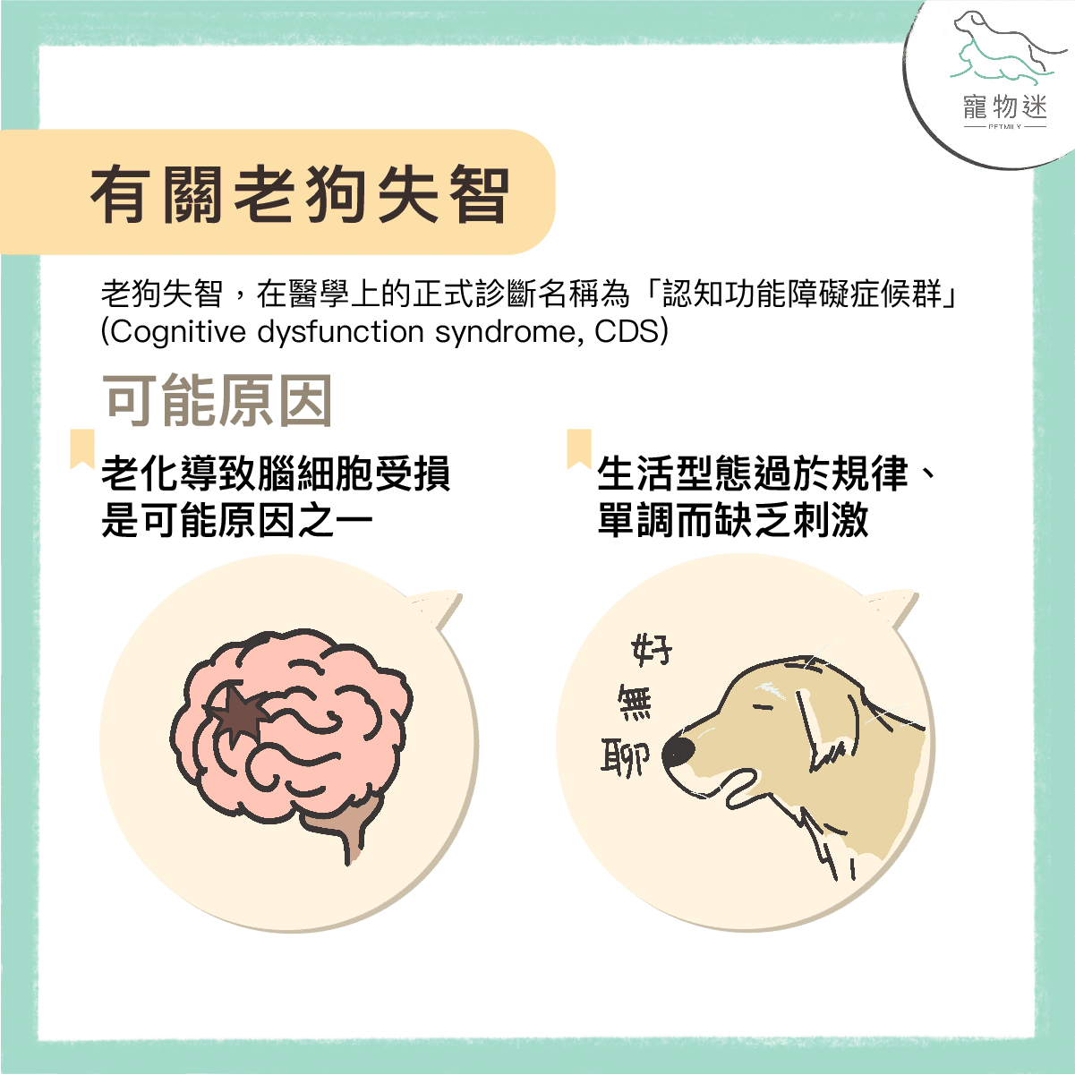 老狗失智症的6大指標－在牠們還記得你／妳的時候珍惜當下！