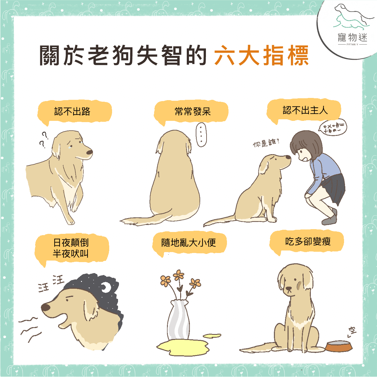 老狗失智症的6大指標－在牠們還記得你／妳的時候珍惜當下！