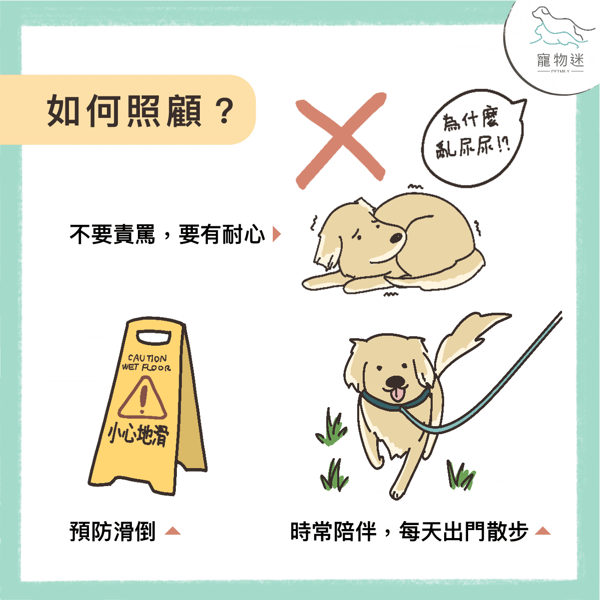 老狗失智症的6大指標－在牠們還記得你／妳的時候珍惜當下！