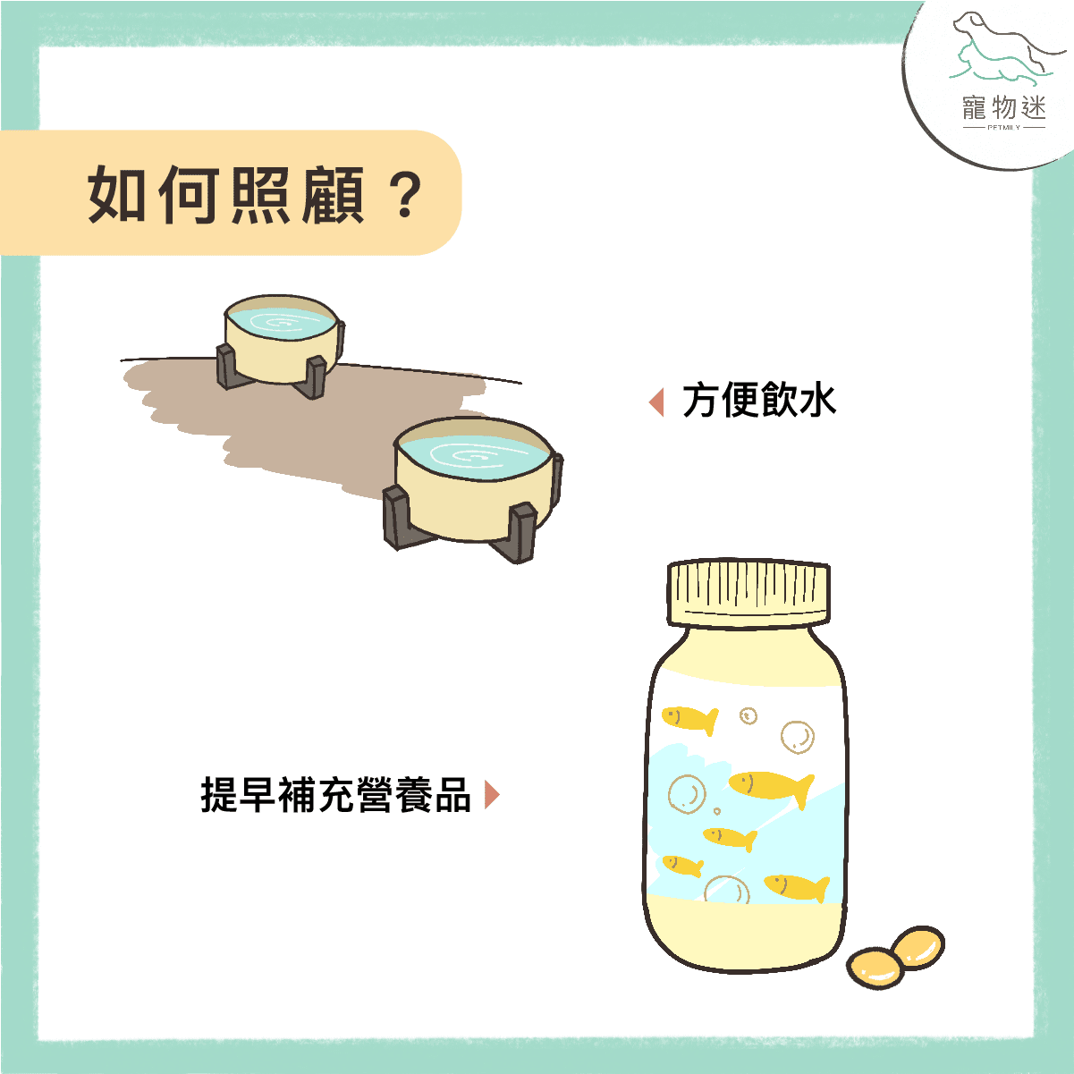 老狗失智症的6大指標－在牠們還記得你／妳的時候珍惜當下！